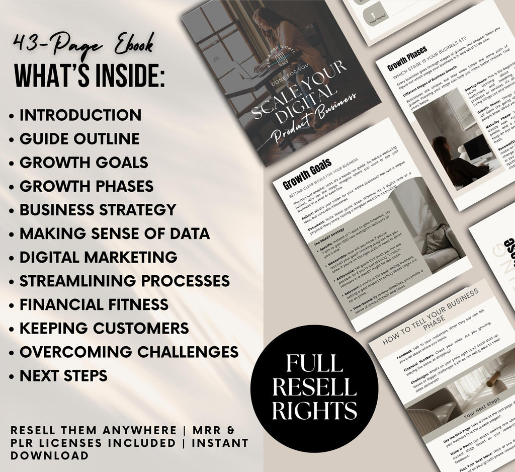 PLR/MRR Scale Your Business Ebook