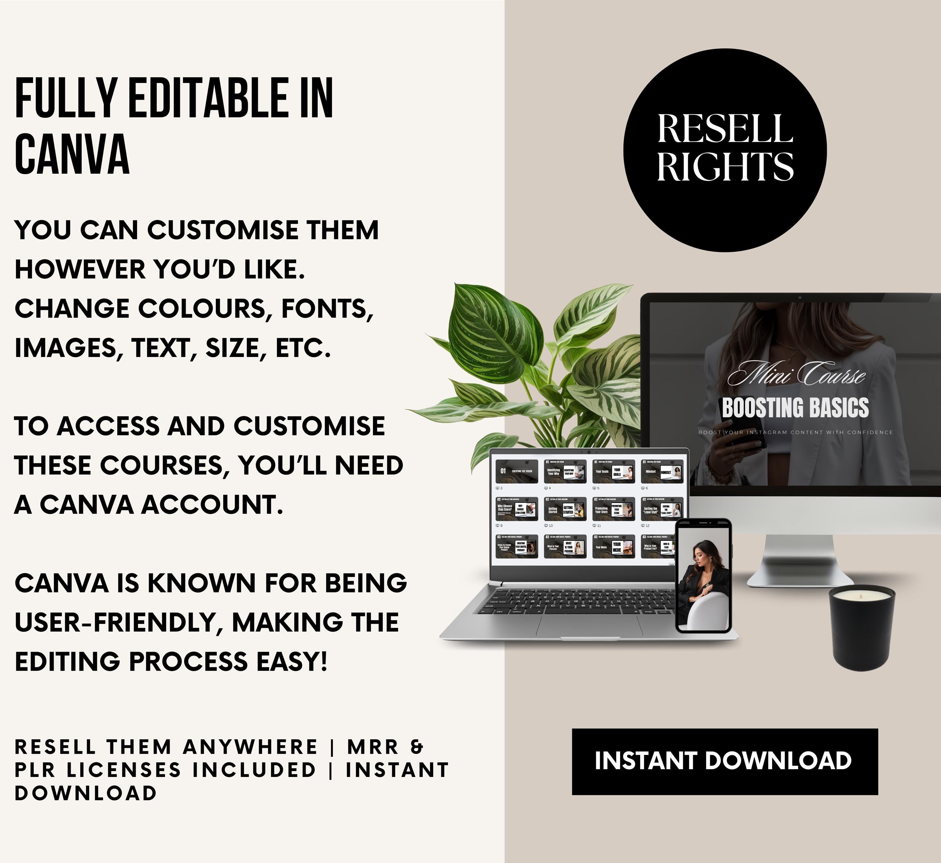 PLR/MRR 12 Digital Marketing Courses