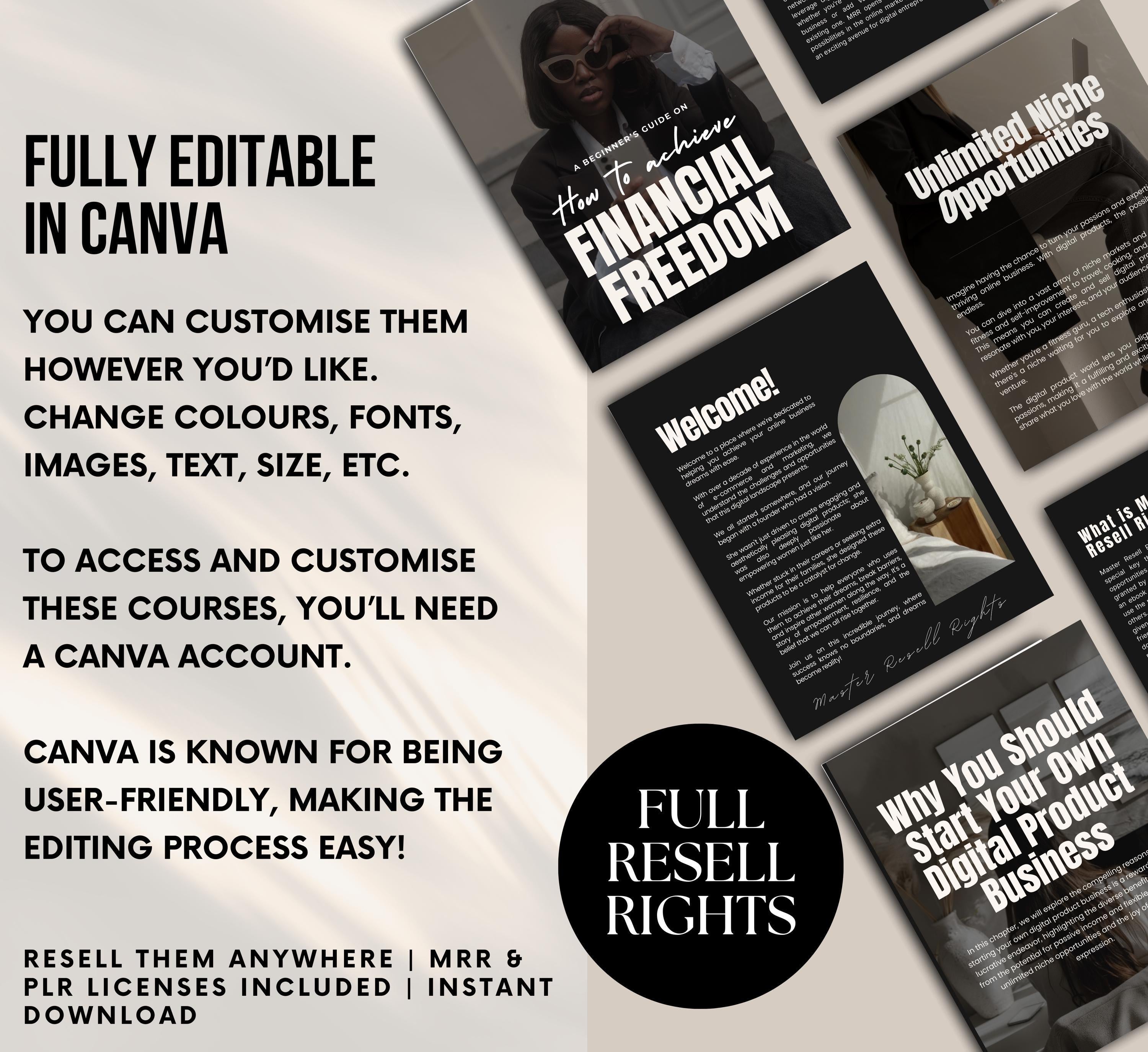 PLR/MRR Financial Freedom Ebook