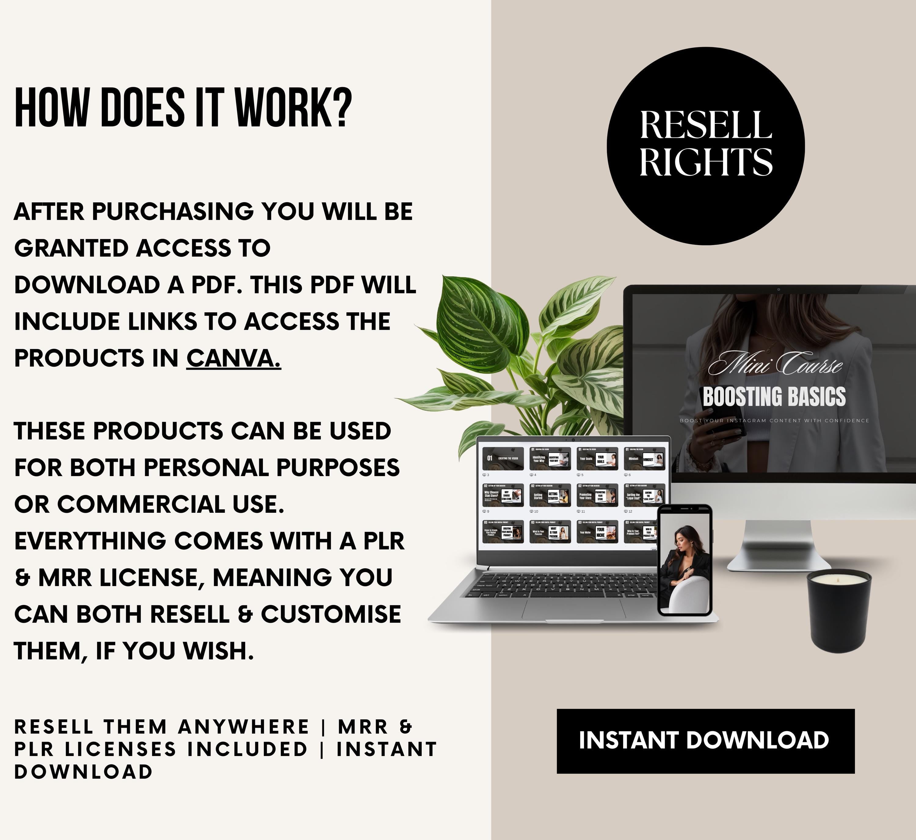 PLR/MRR 12 Digital Marketing Courses