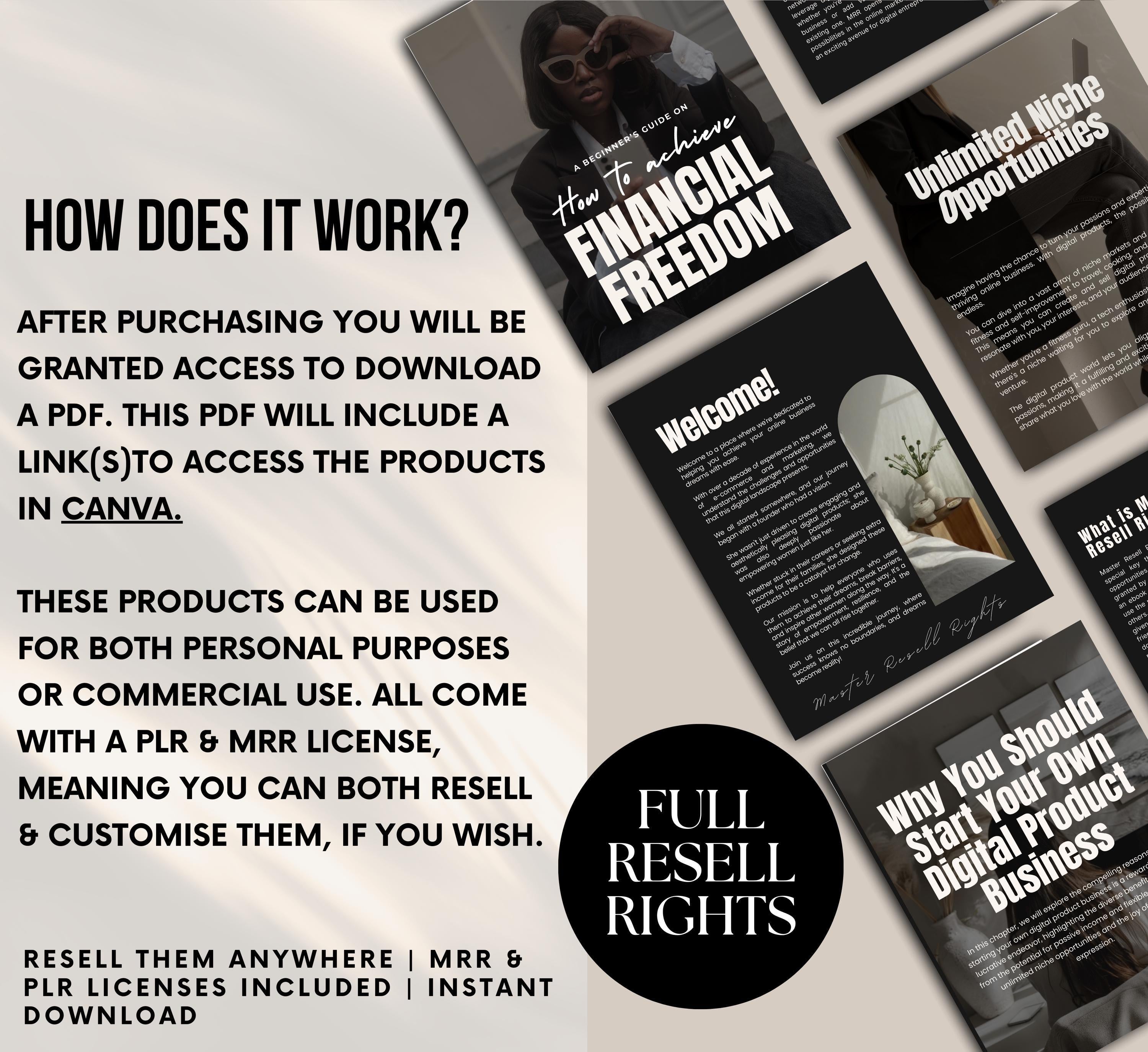 PLR/MRR Financial Freedom Ebook