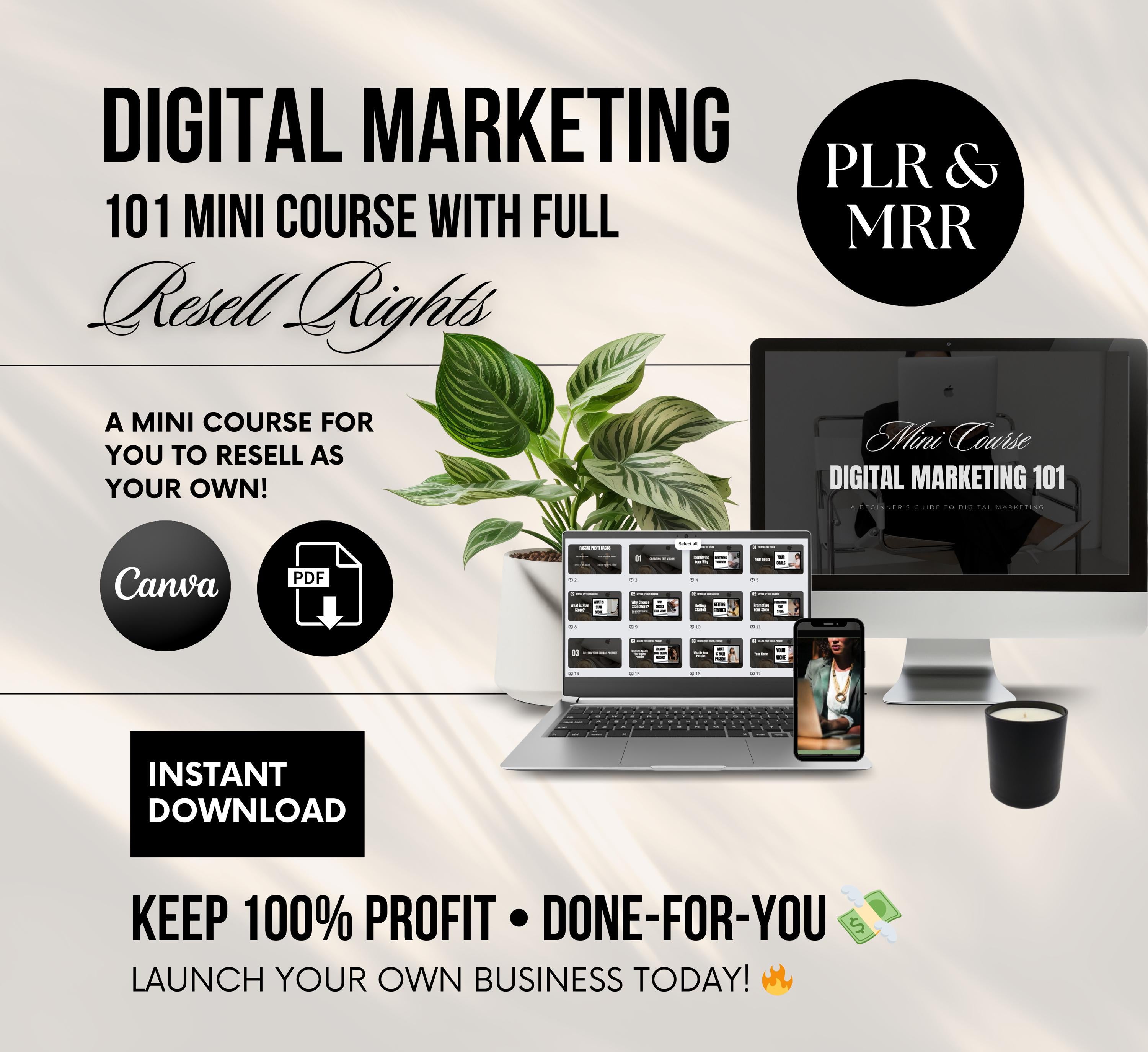 PLR/MRR Digital Marketing 101 Mini Course