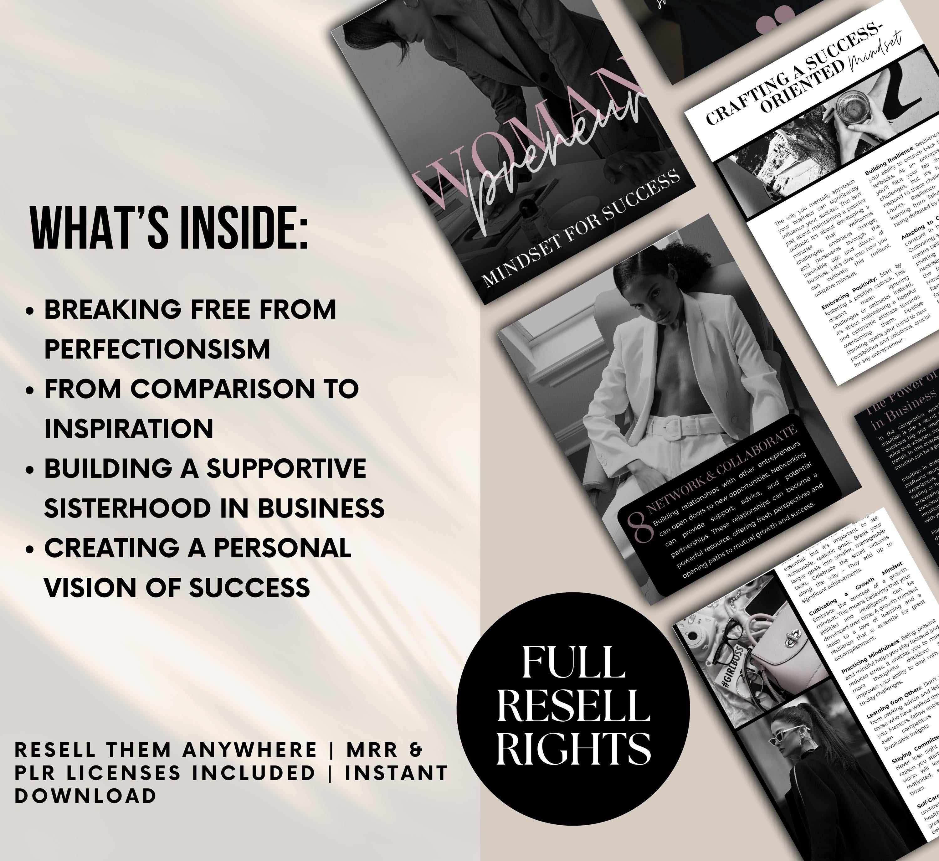 PLR/MRR Womanpreneur Success Ebook Guide