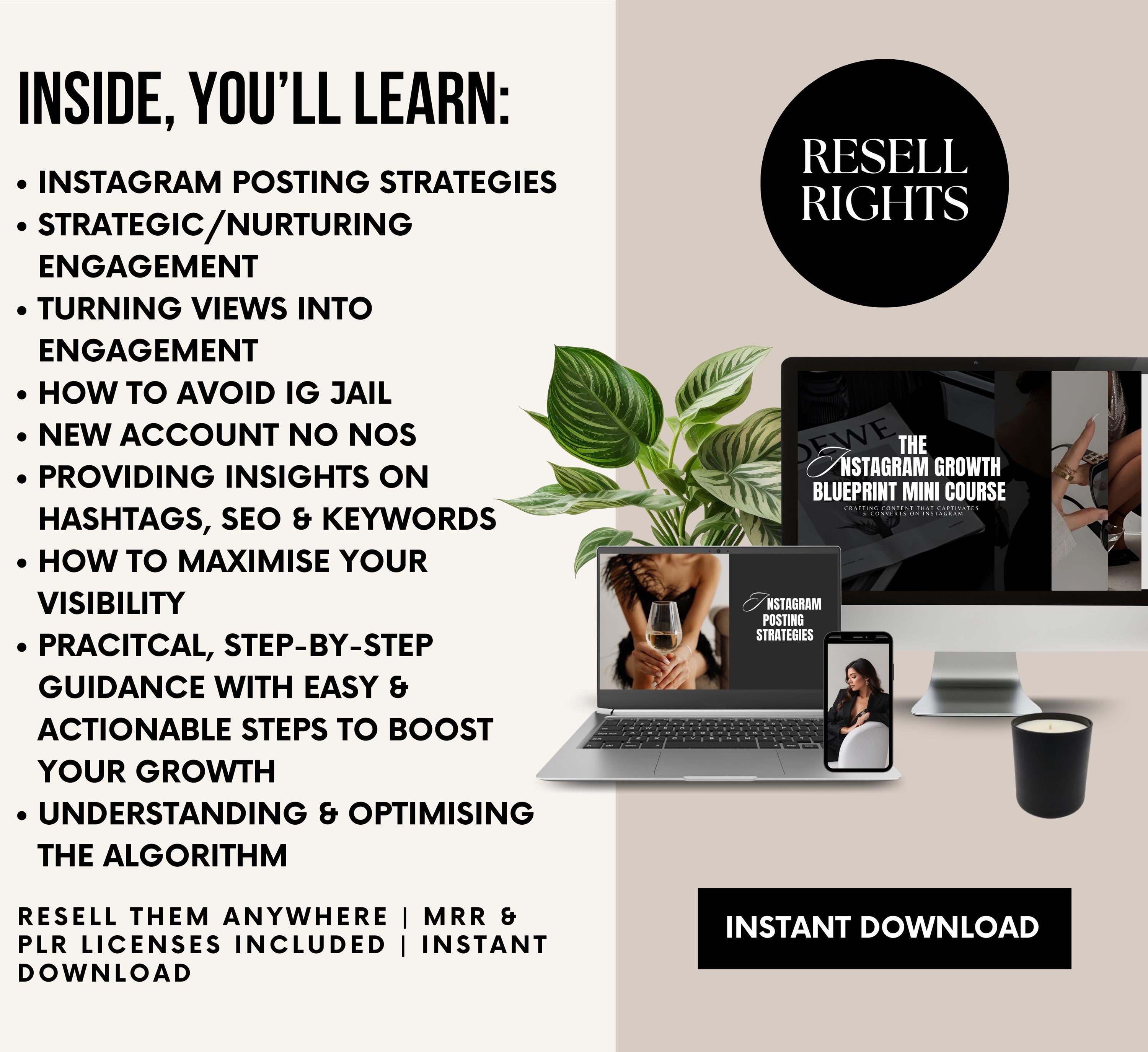 PLR/MRR Instagram Marketing Course
