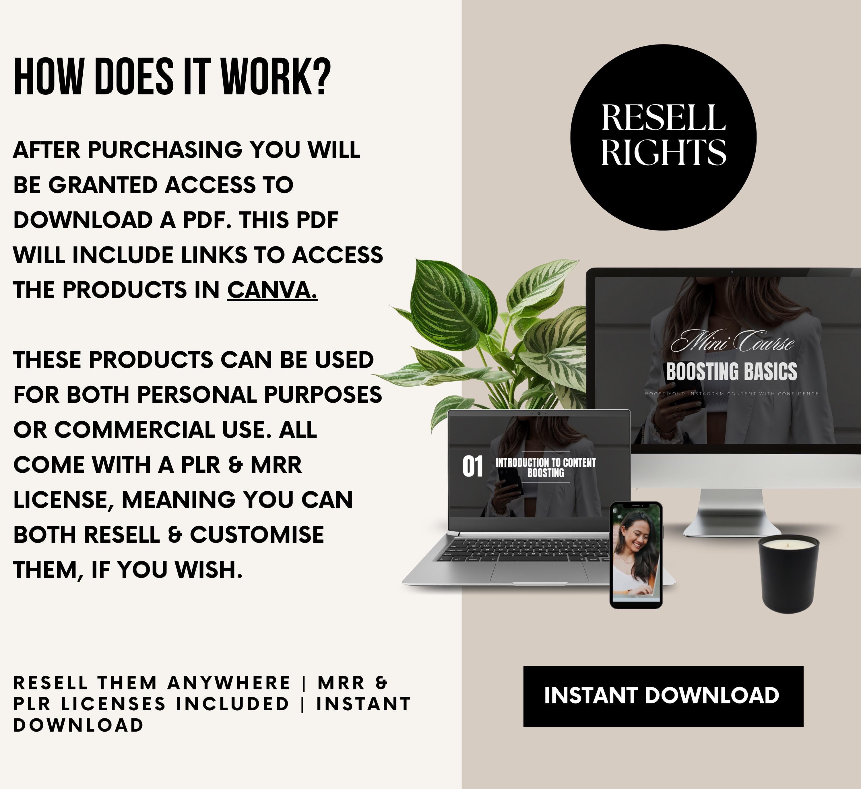 PLR/MRR Instagram Boosting Basics Course
