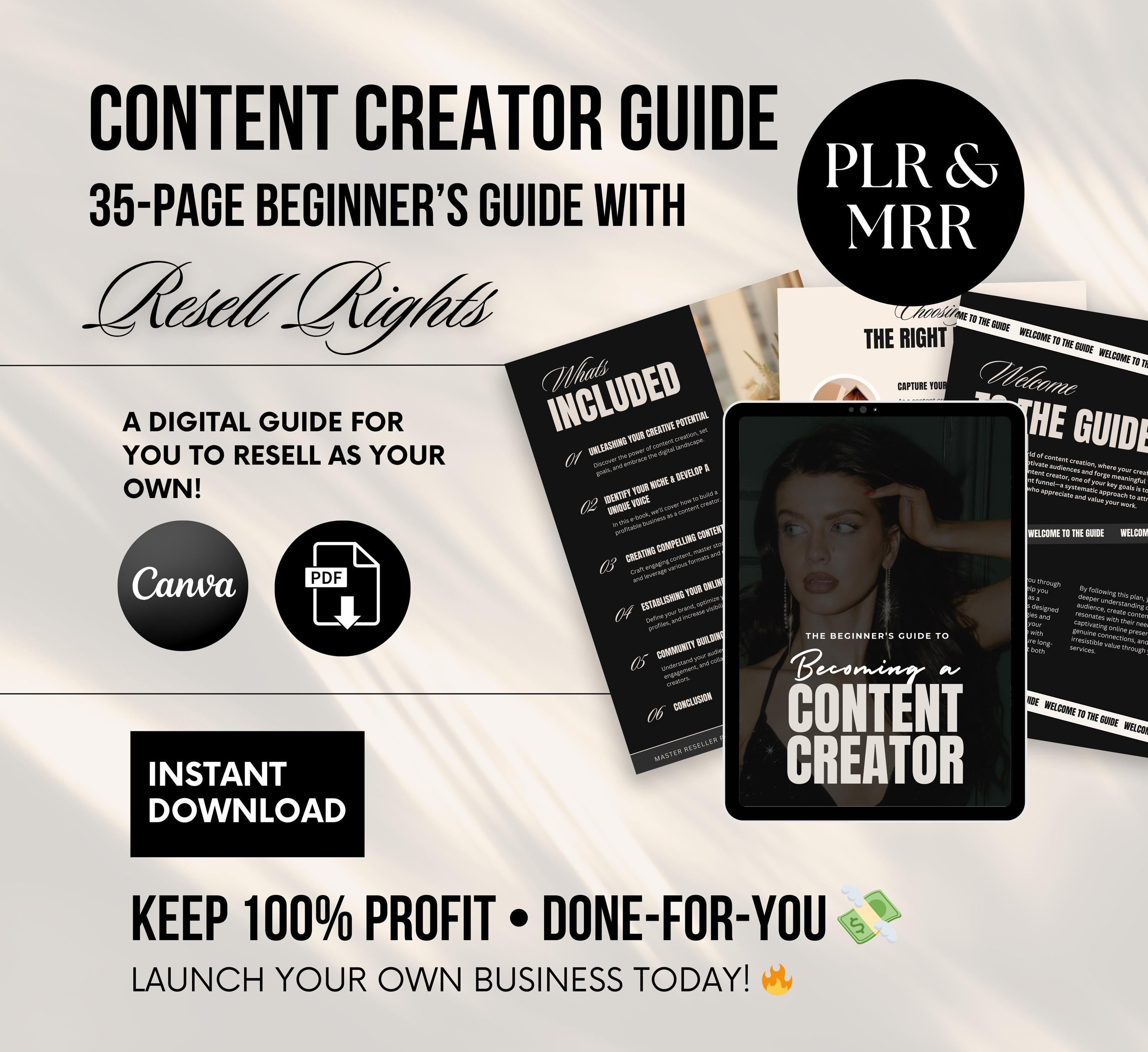 PLR/MRR Content Creator Ebook Guide