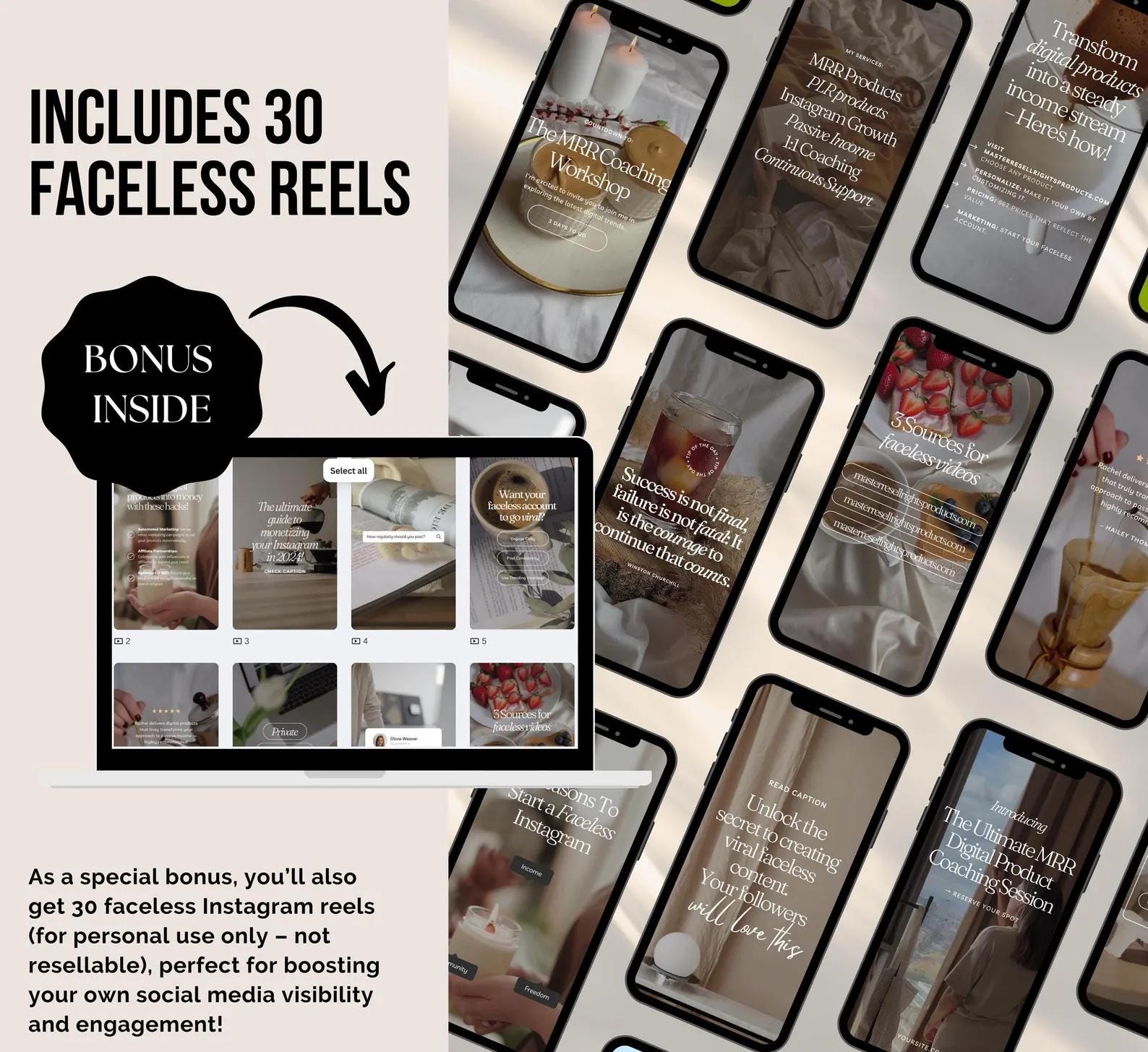 PLR/MRR 1000s Products Digital Product Vault: 1000s Ebooks, Templates, Graphics