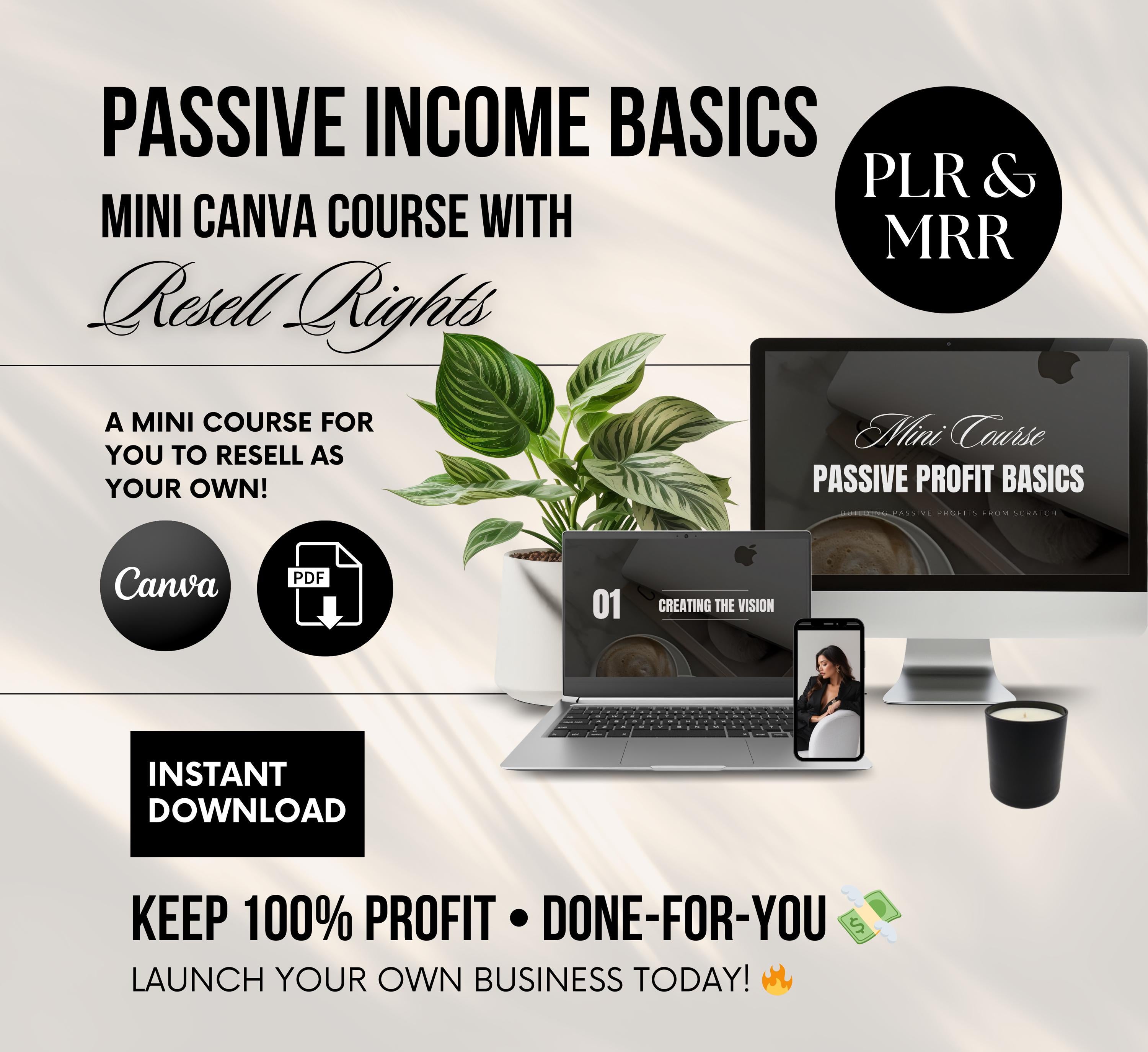 PLR/MRR Passive Income Basics Mini Course