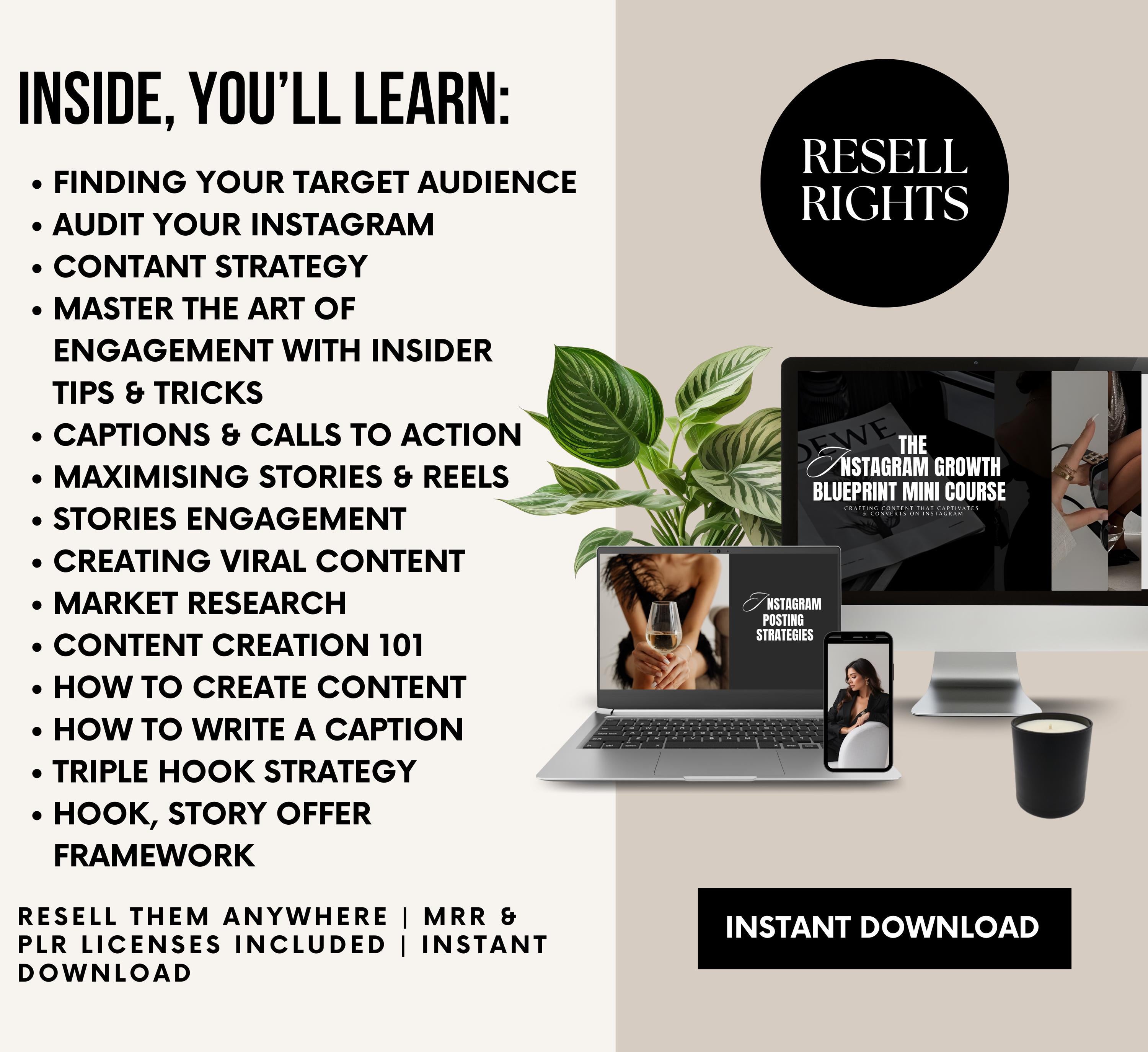 PLR/MRR Instagram Marketing Course