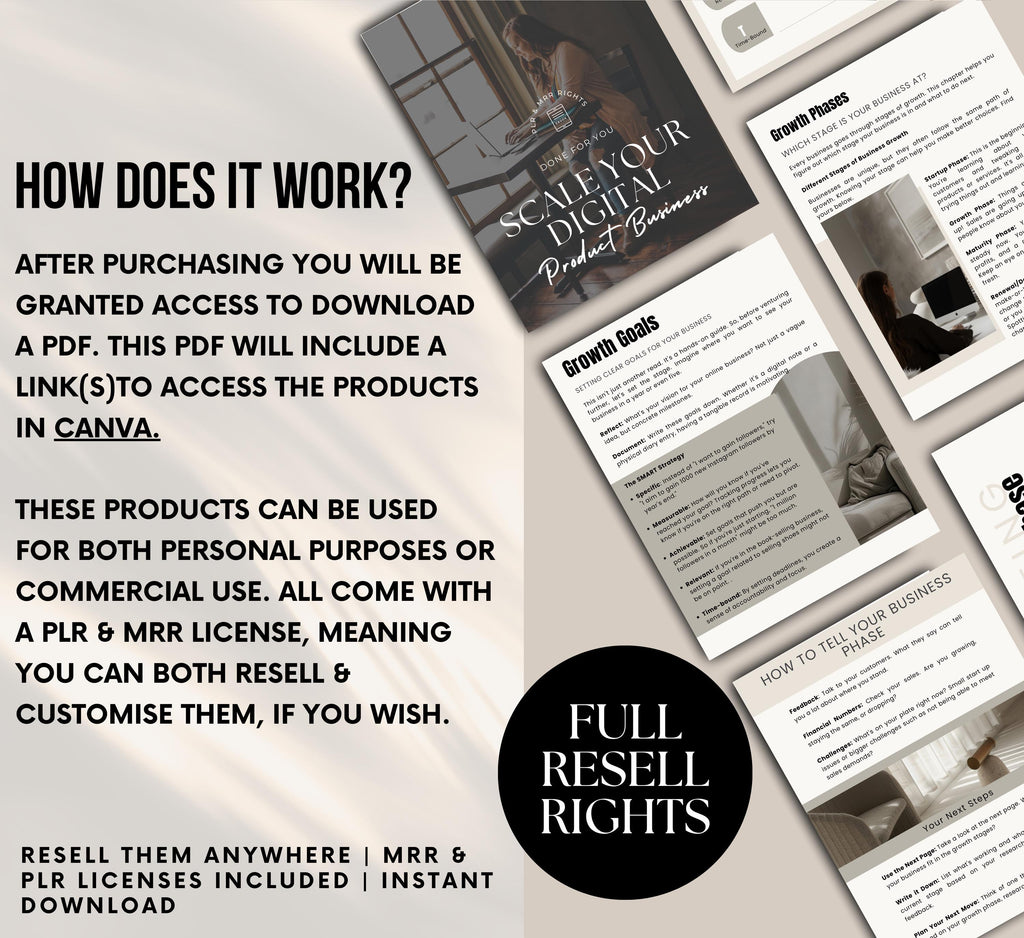 PLR/MRR Scale Your Business Ebook