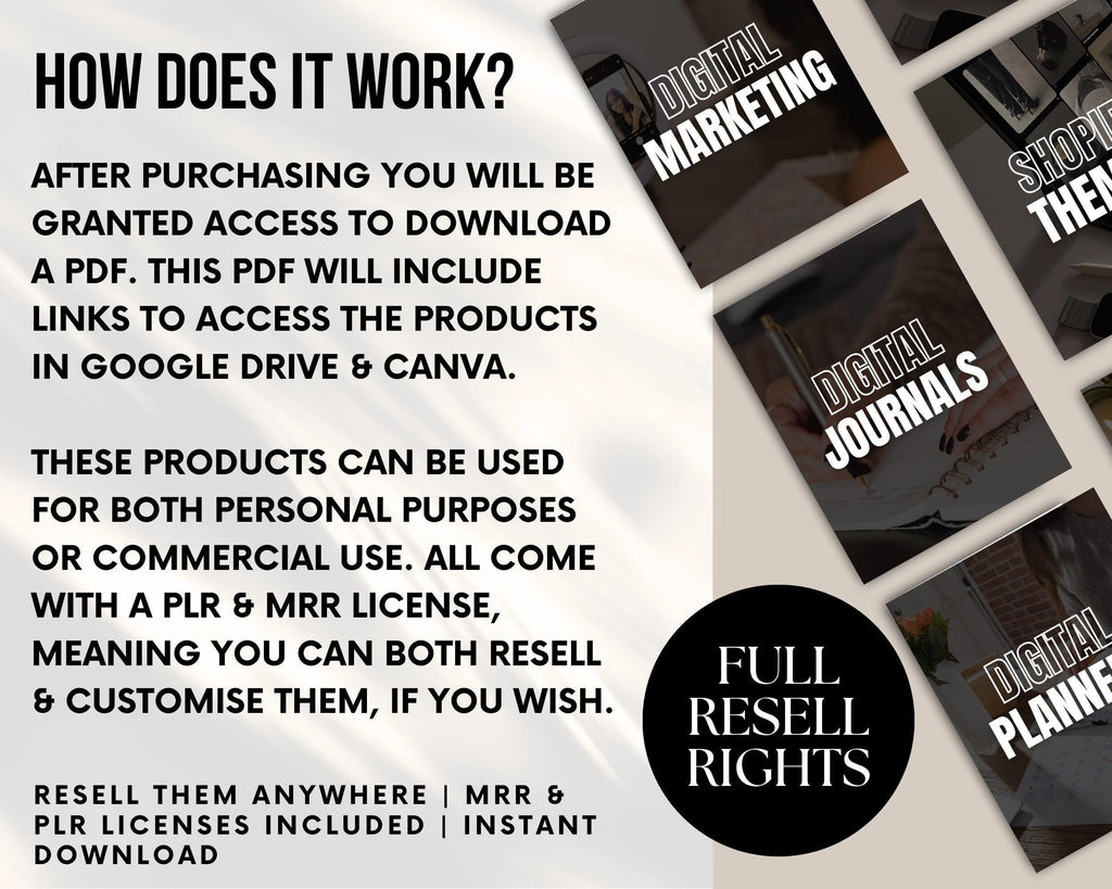 PLR/MRR 1000s Products Digital Product Vault