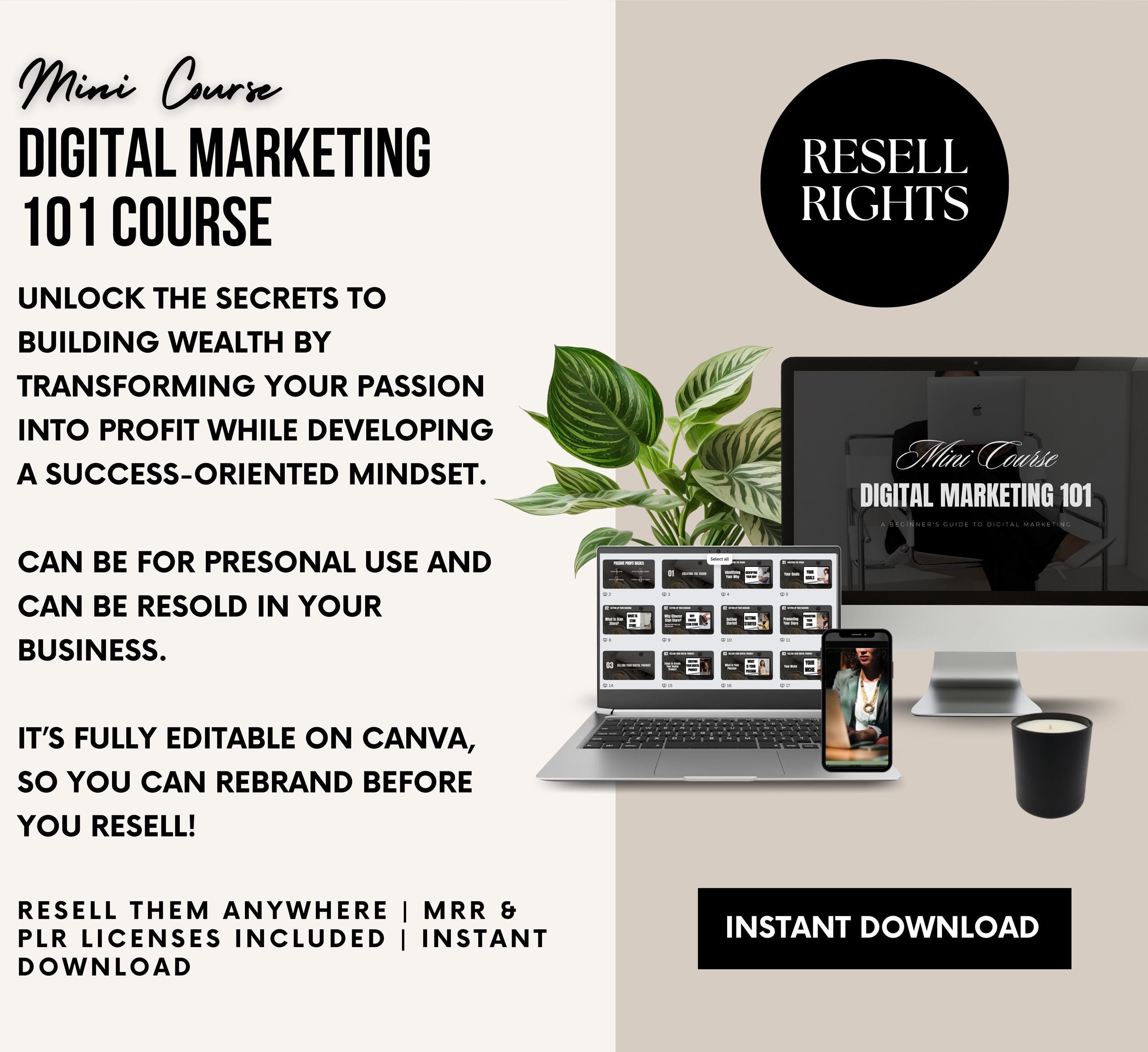 PLR/MRR Digital Marketing 101 Mini Course