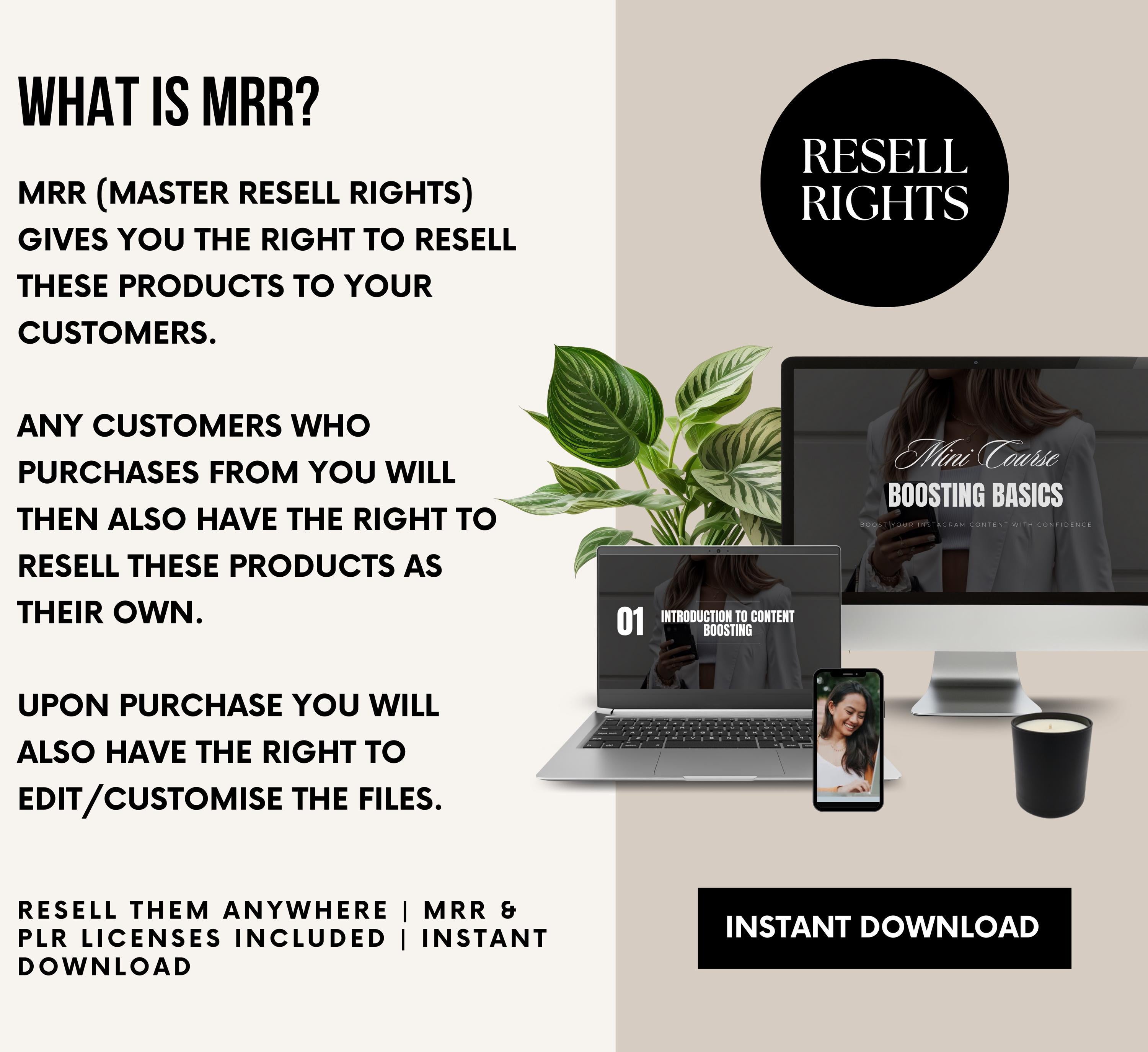 PLR/MRR Instagram Boosting Basics Course
