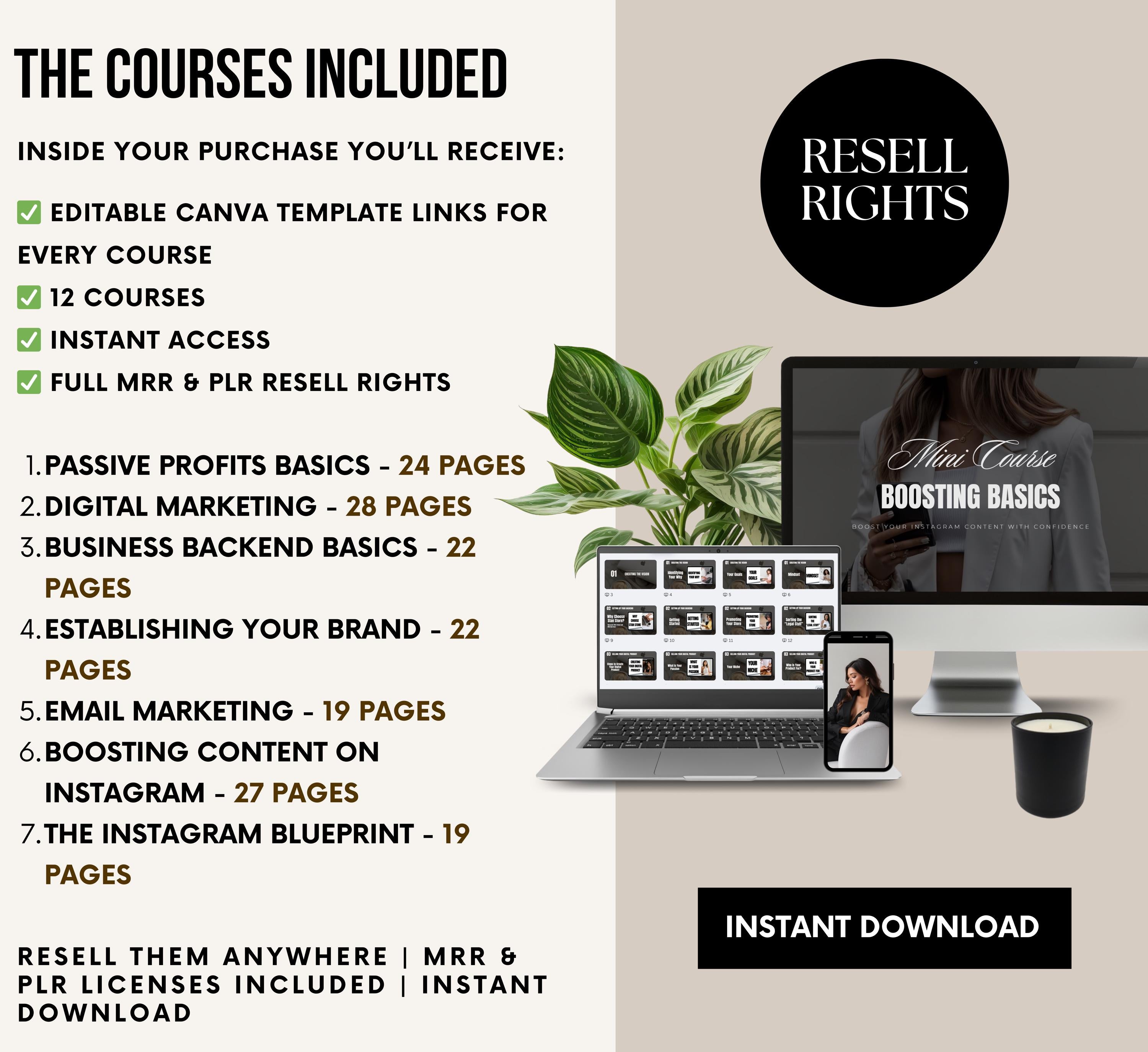 PLR/MRR 12 Digital Marketing Courses