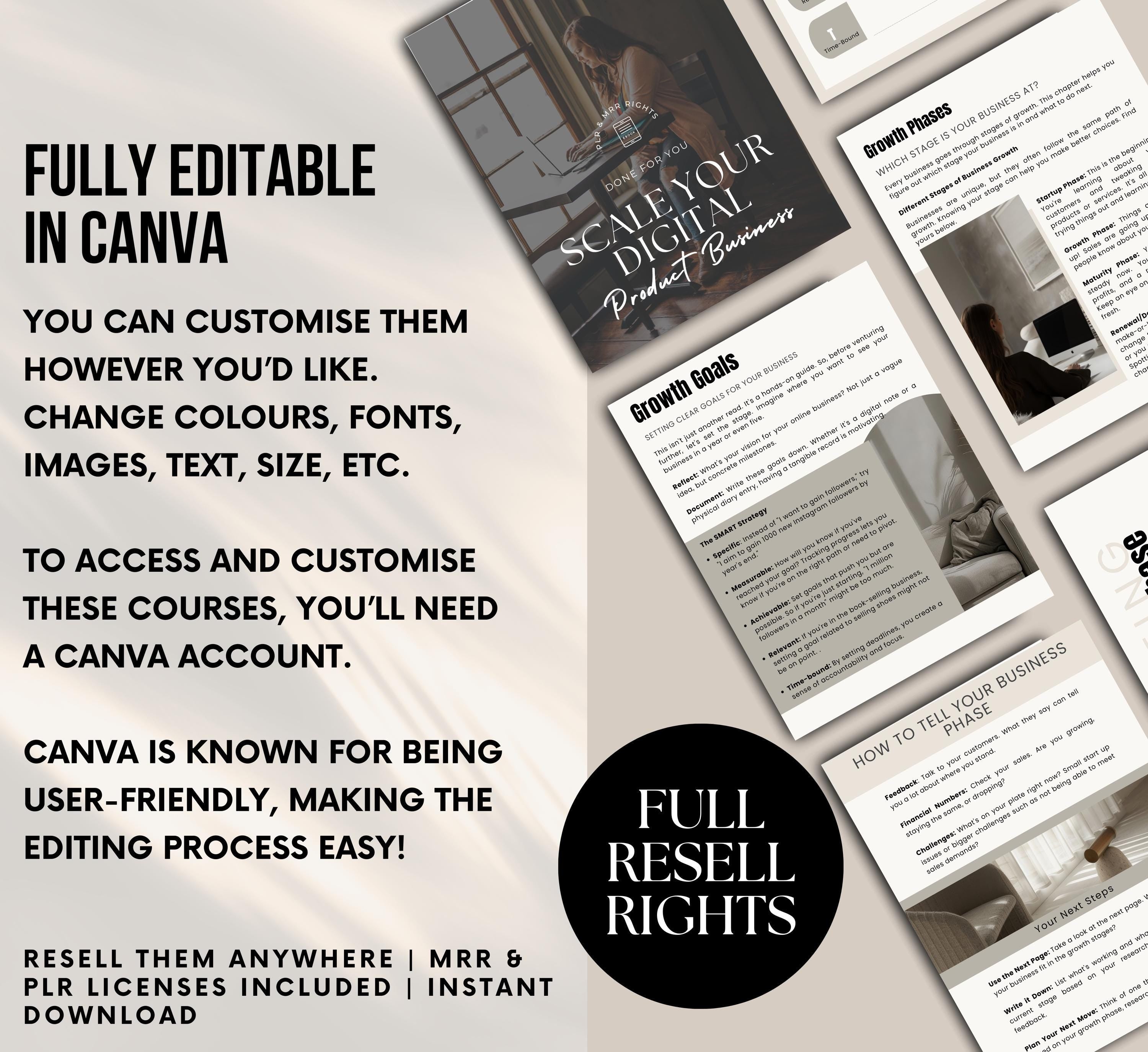 PLR/MRR Scale Your Business Ebook