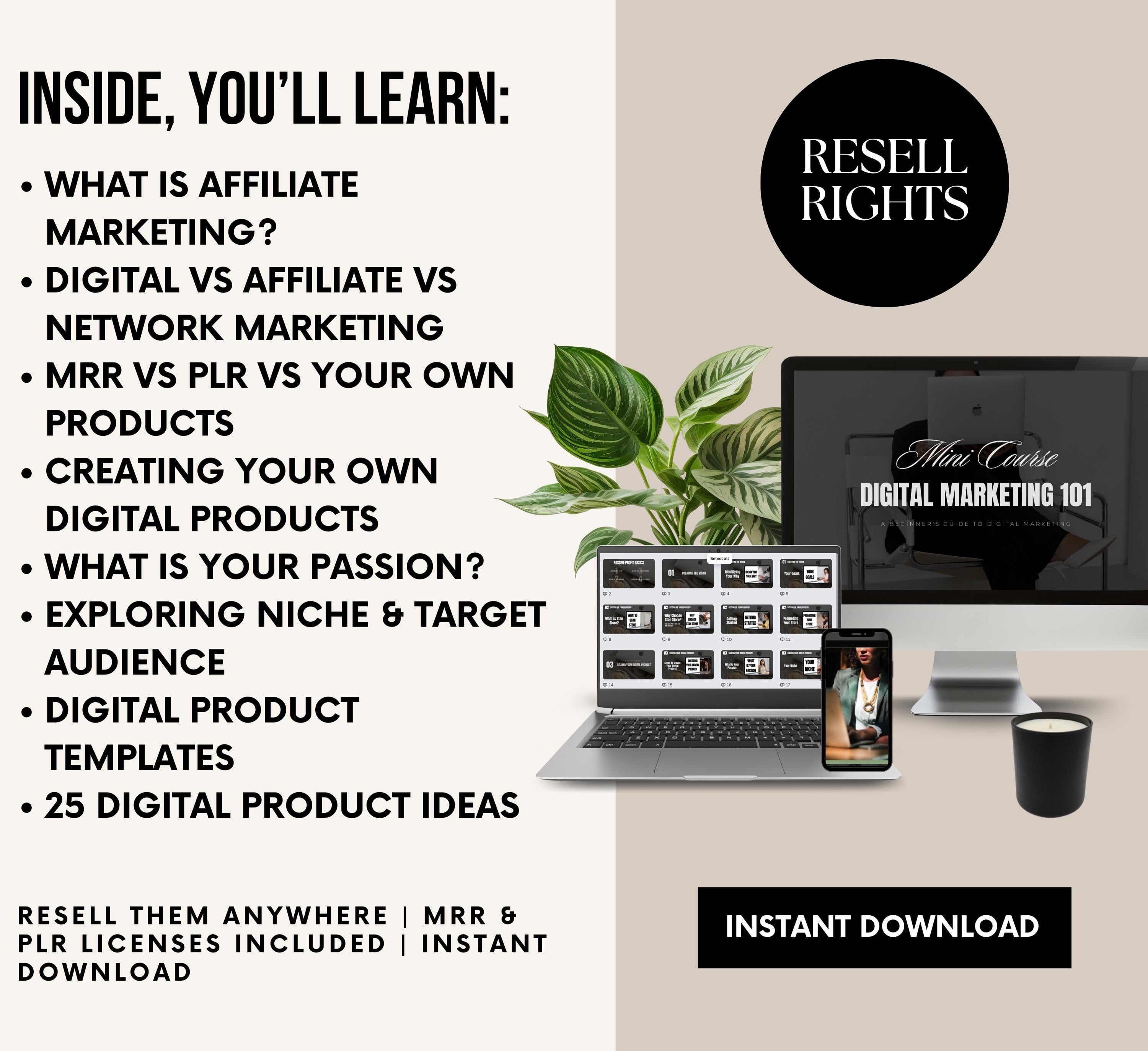 PLR/MRR Digital Marketing 101 Mini Course