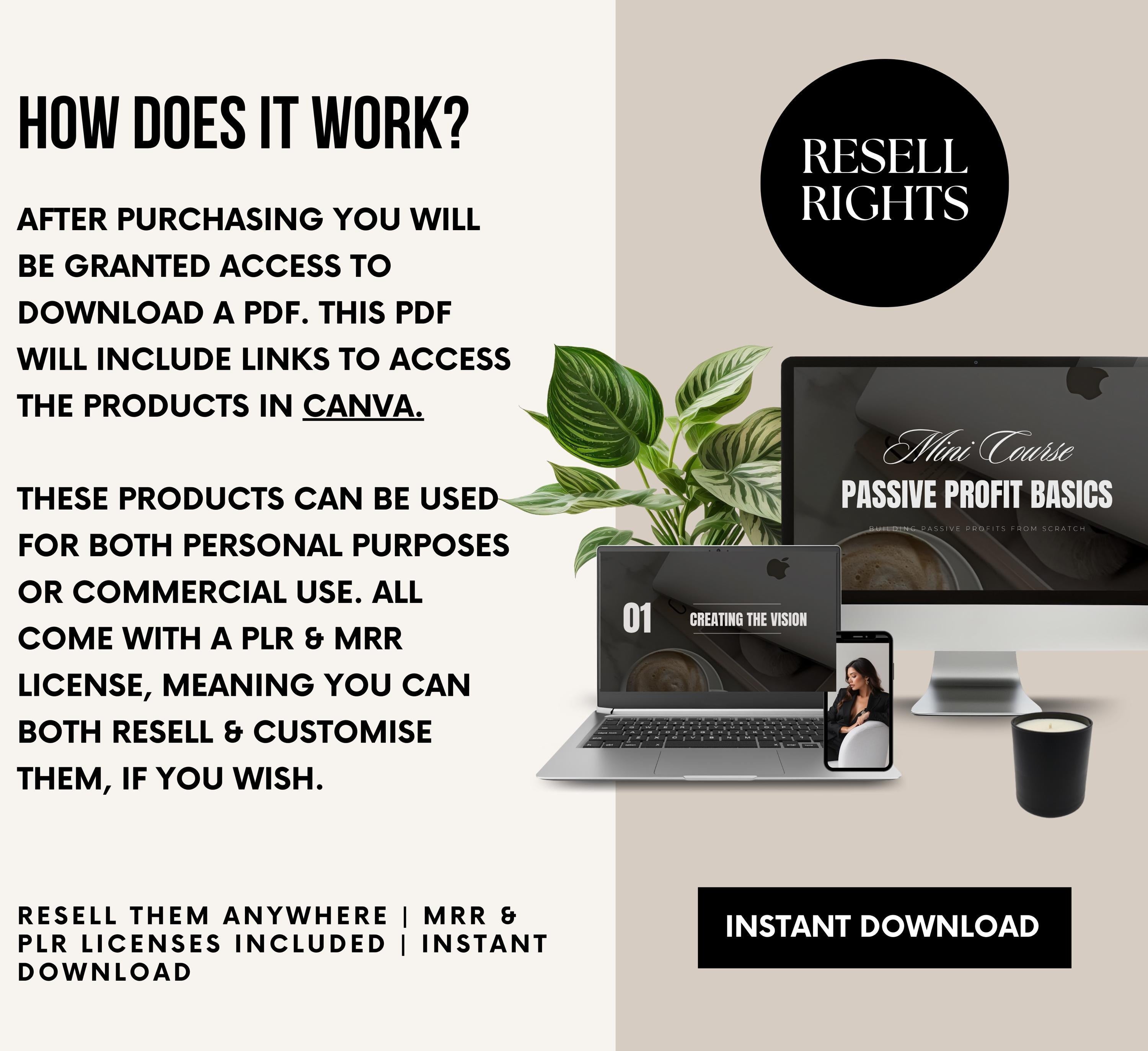 PLR/MRR Passive Income Basics Mini Course