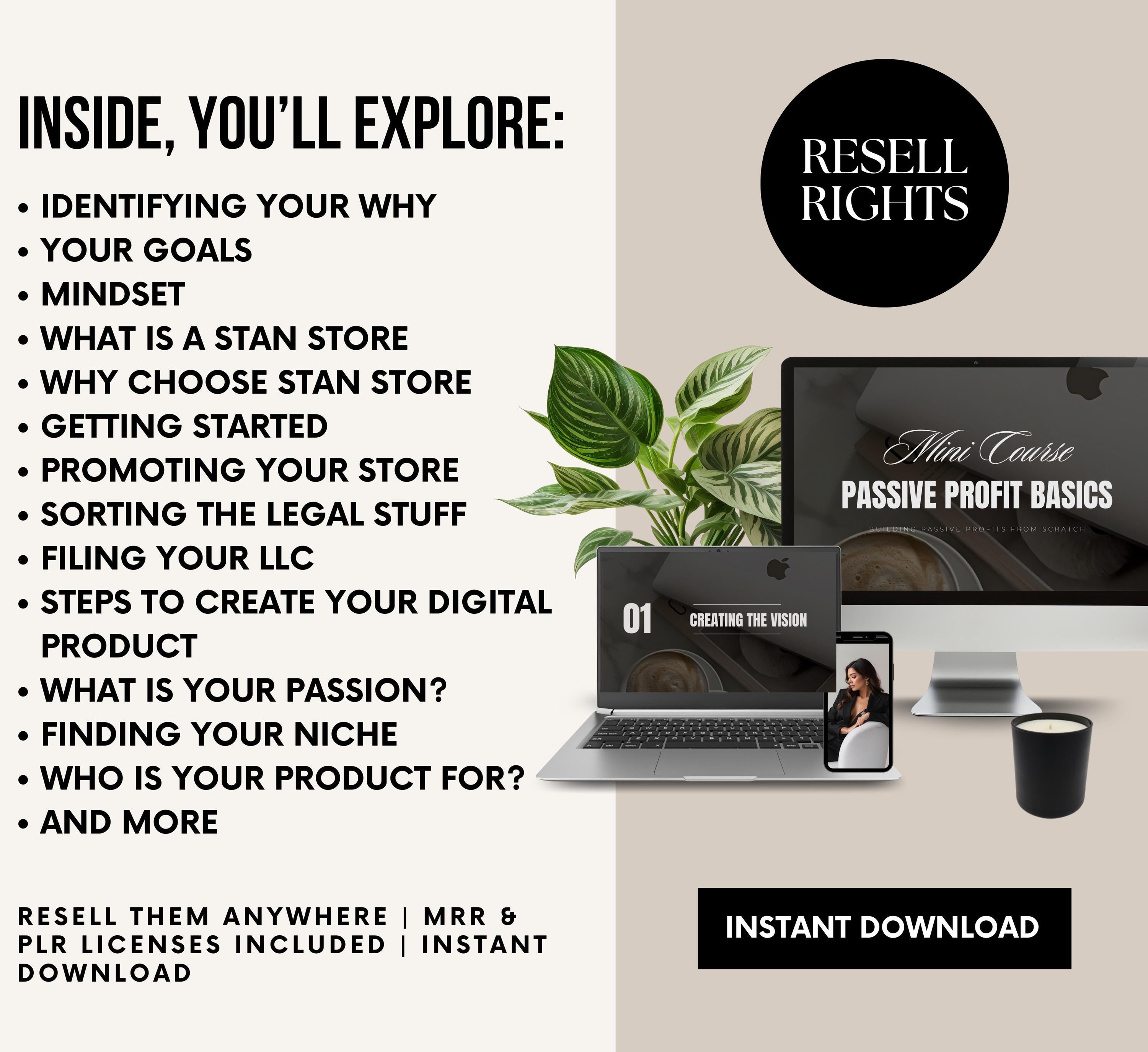 PLR/MRR Passive Income Basics Mini Course