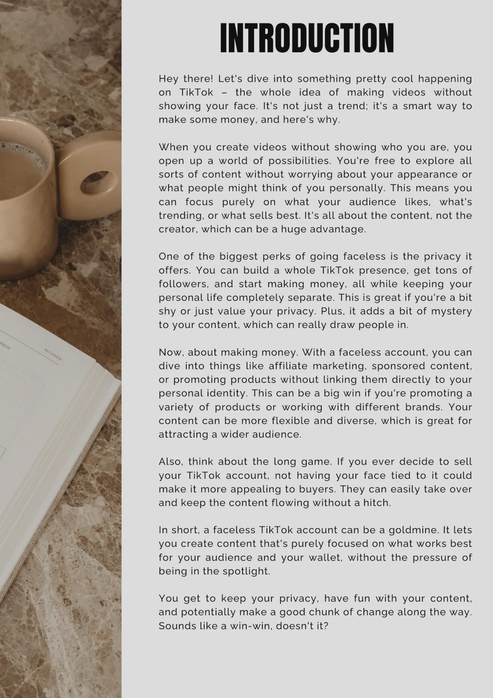 PLR/MRR TikTok Digital Marketing Guide