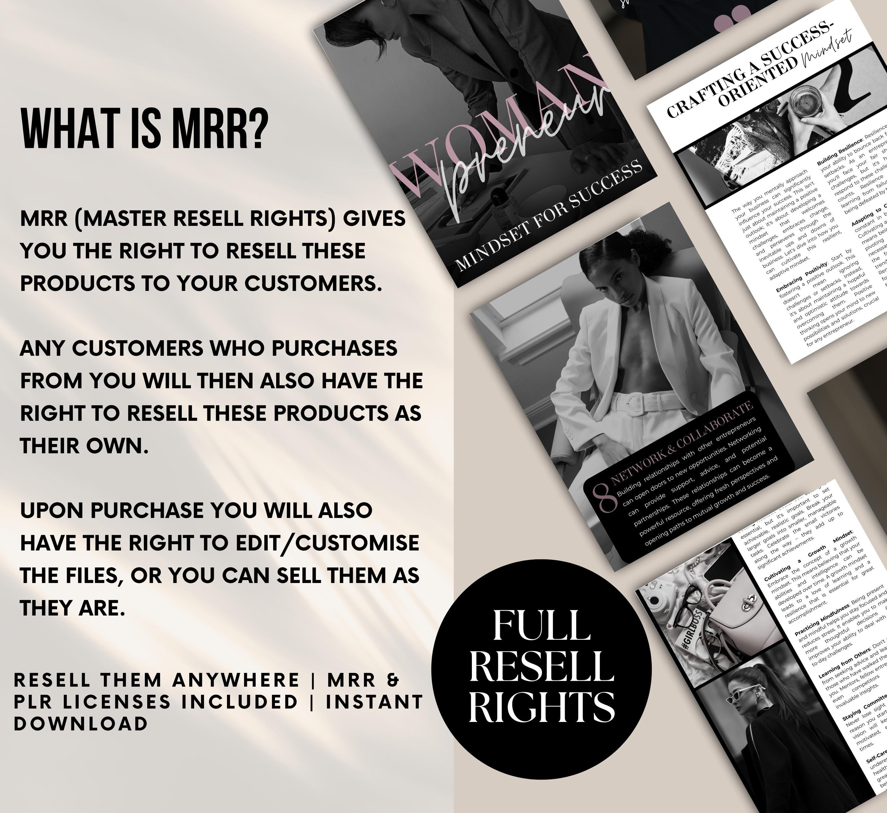 PLR/MRR Womanpreneur Success Ebook Guide