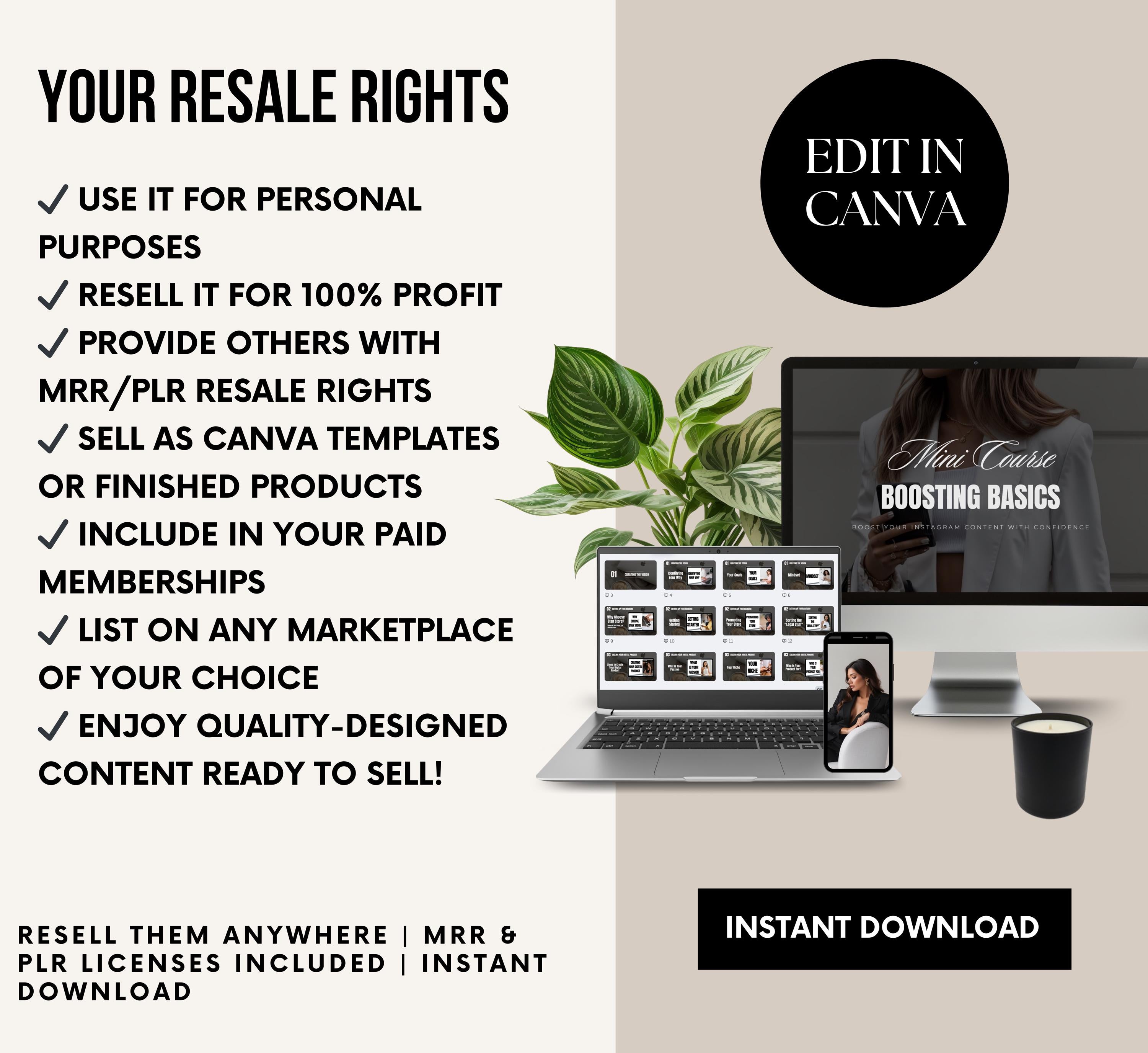 PLR/MRR 12 Digital Marketing Courses