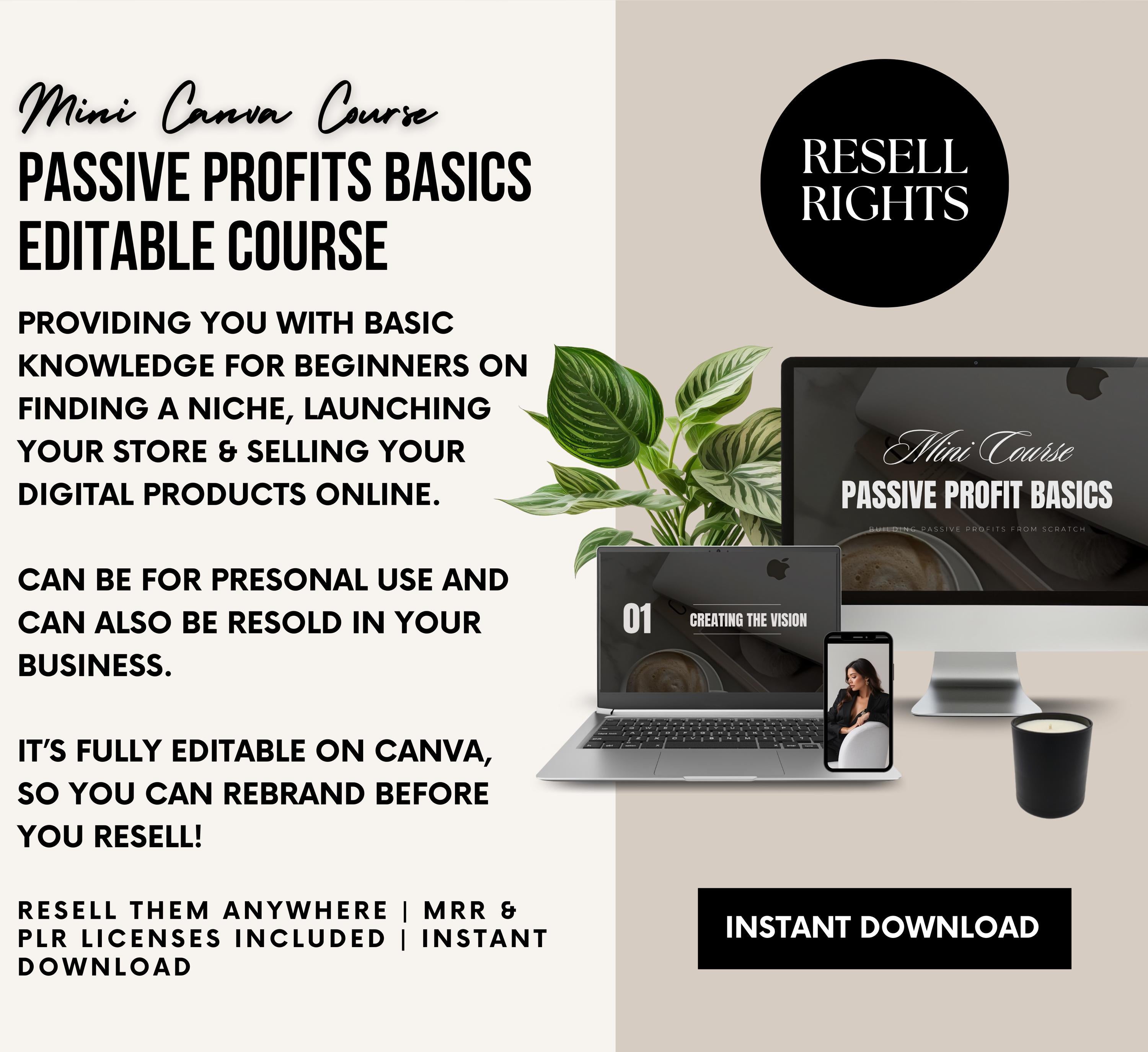 PLR/MRR Passive Income Basics Mini Course
