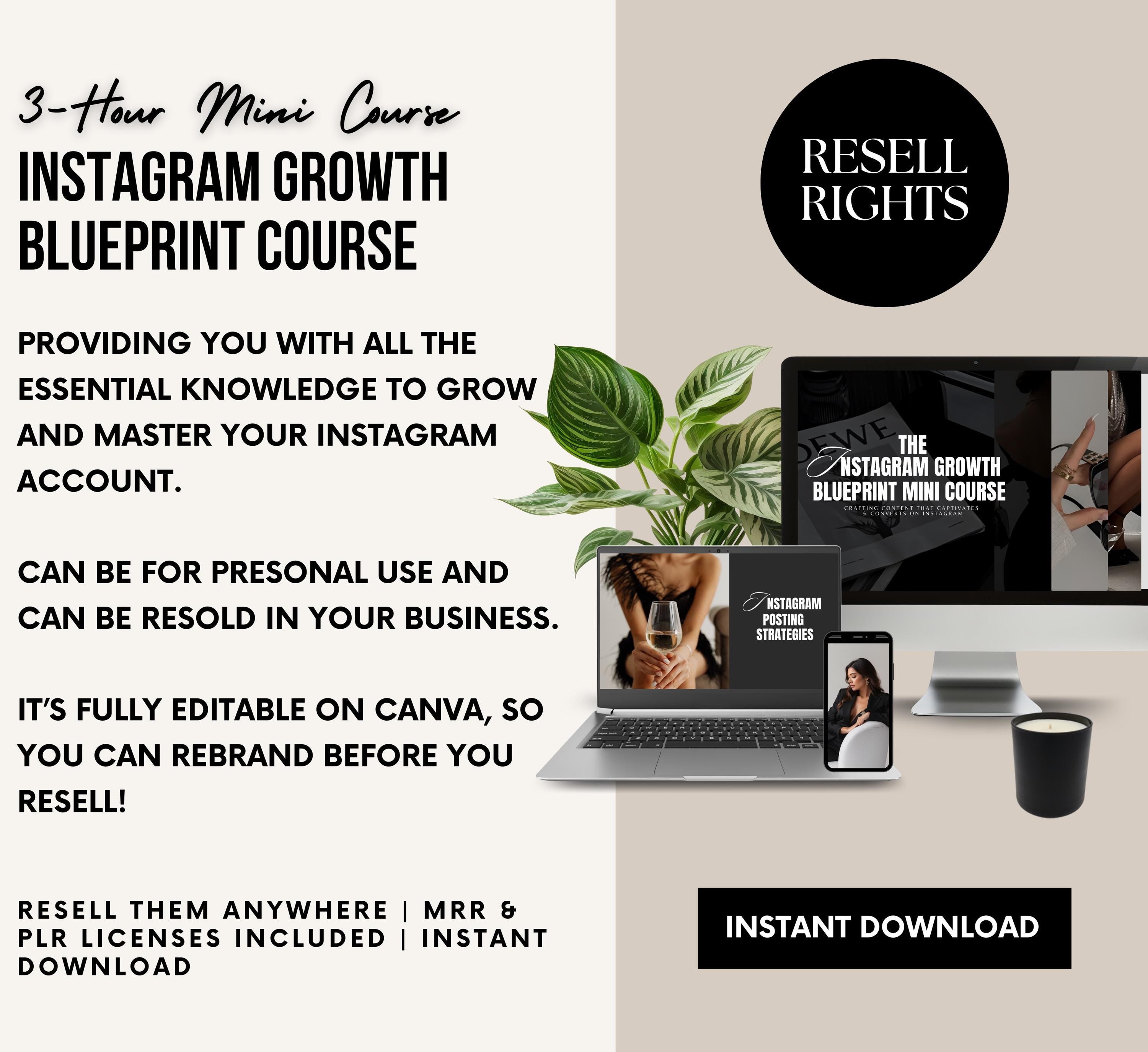 PLR/MRR Instagram Marketing Course