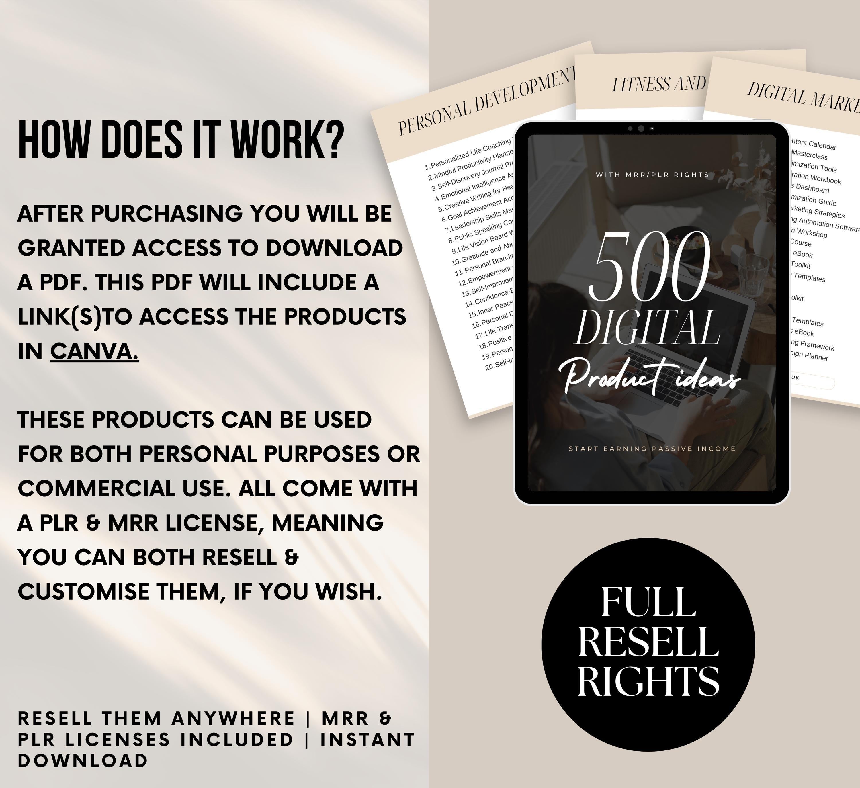 PLR/MRR 500 Digital Product Ideas