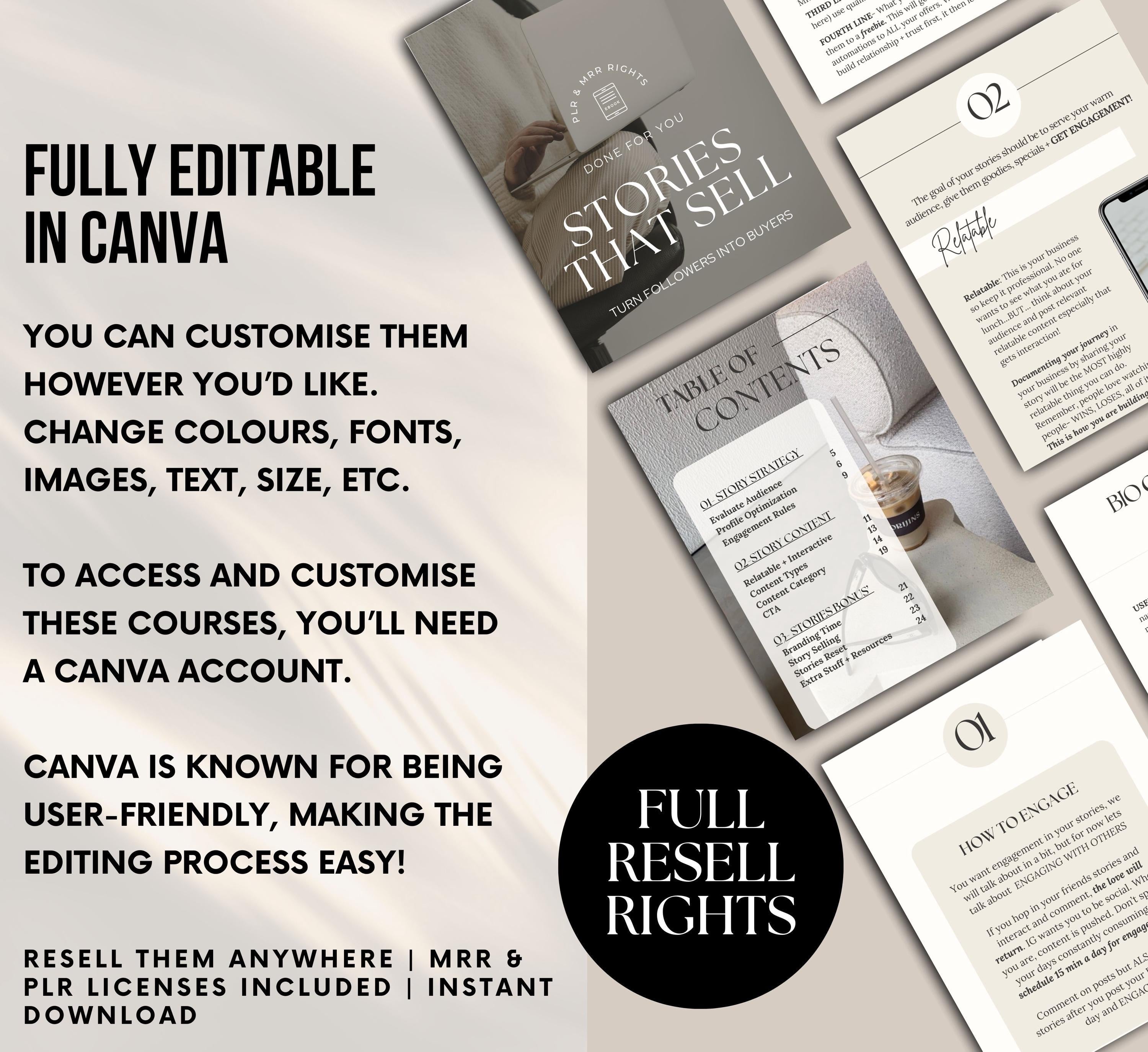 PLR/MRR Stories That Sell Ebook Guide