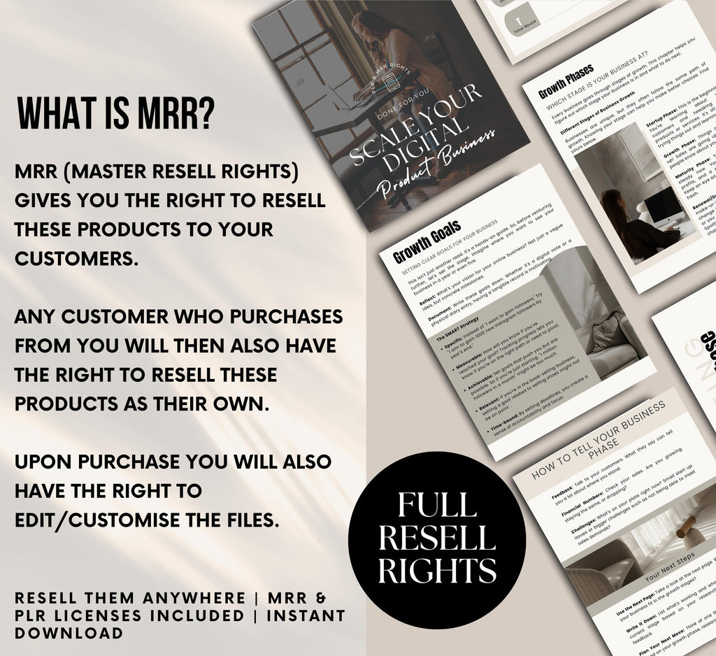 PLR/MRR Scale Your Business Ebook