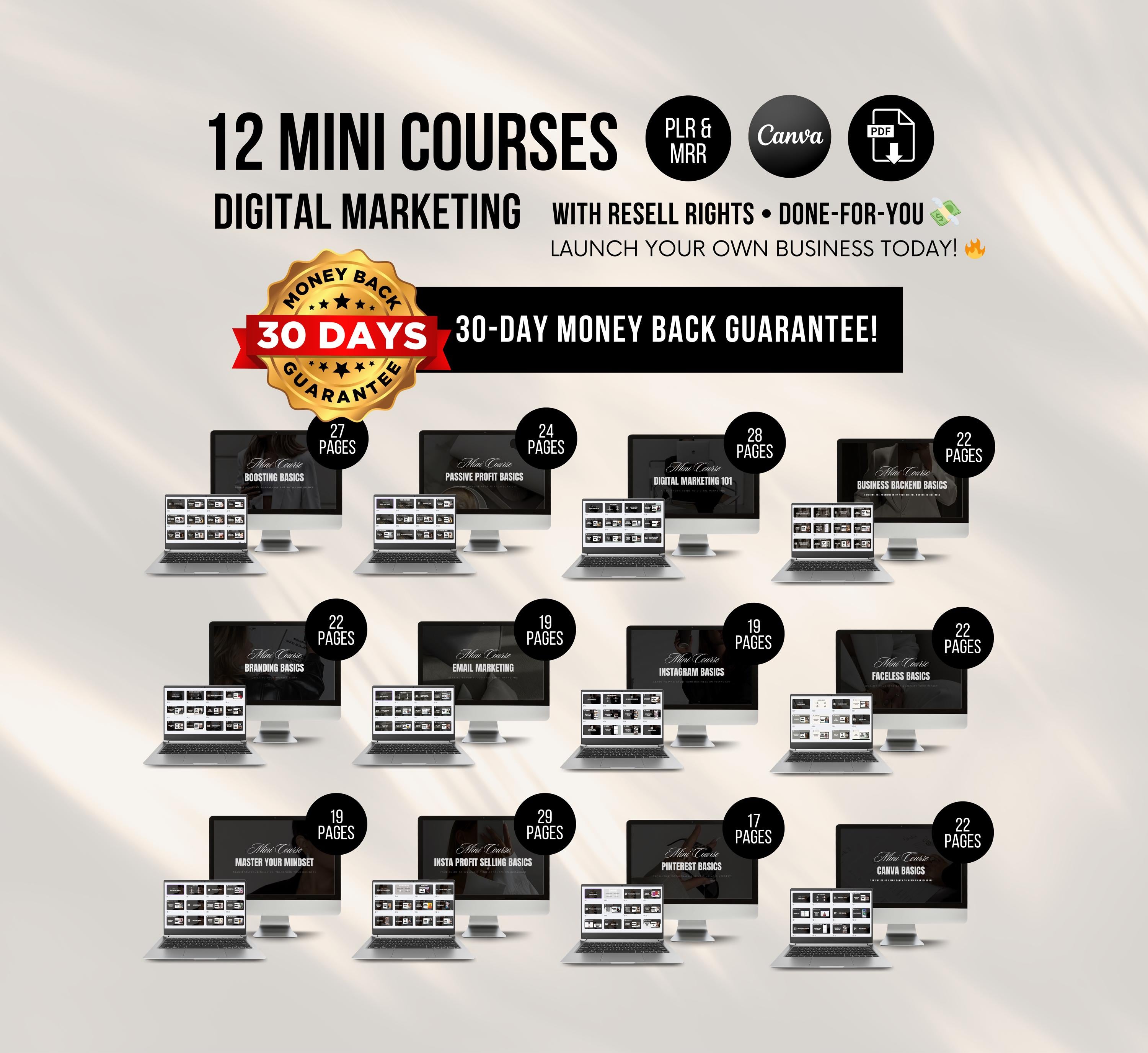 PLR/MRR 12 Digital Marketing Courses