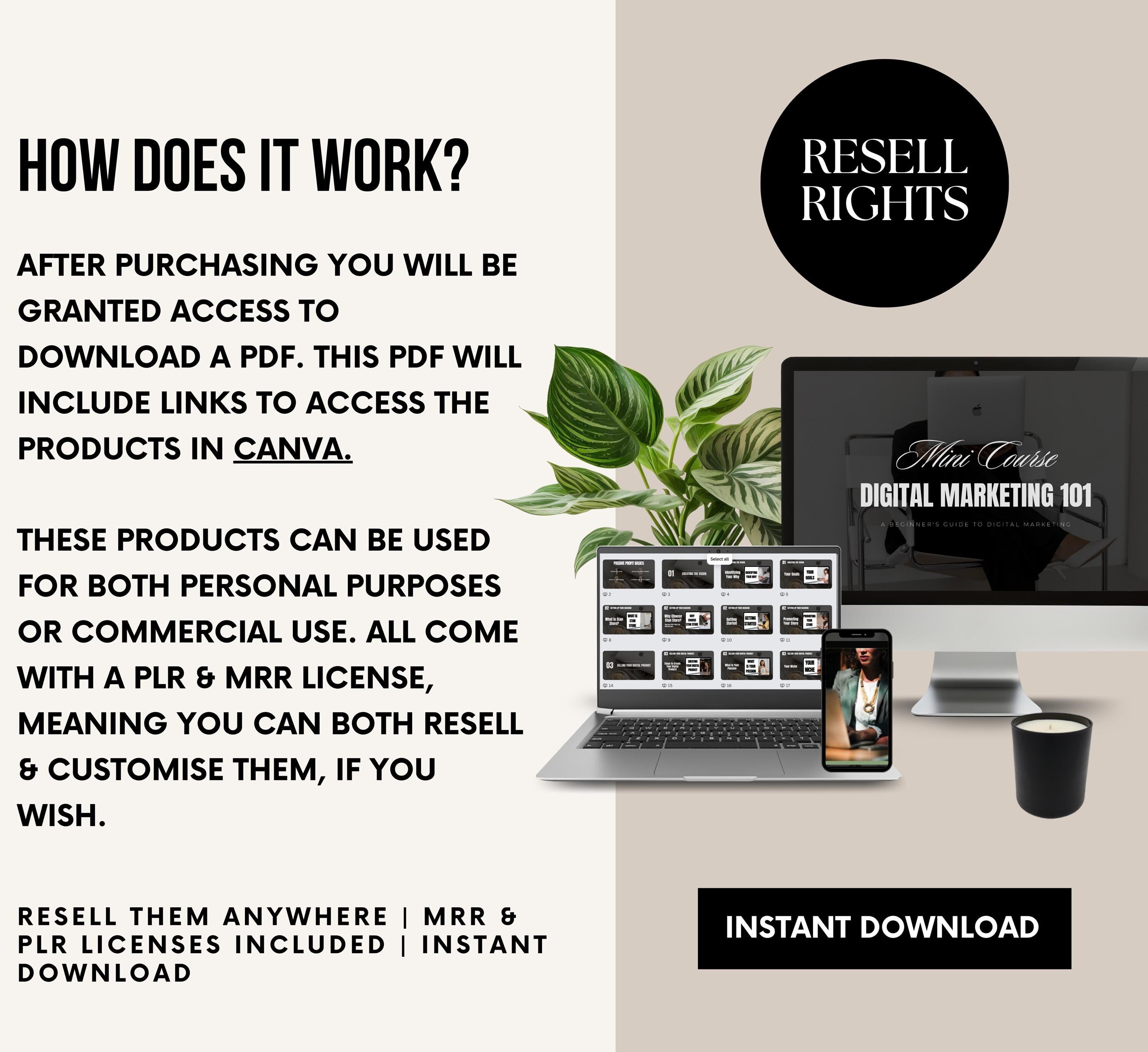 PLR/MRR Digital Marketing 101 Mini Course