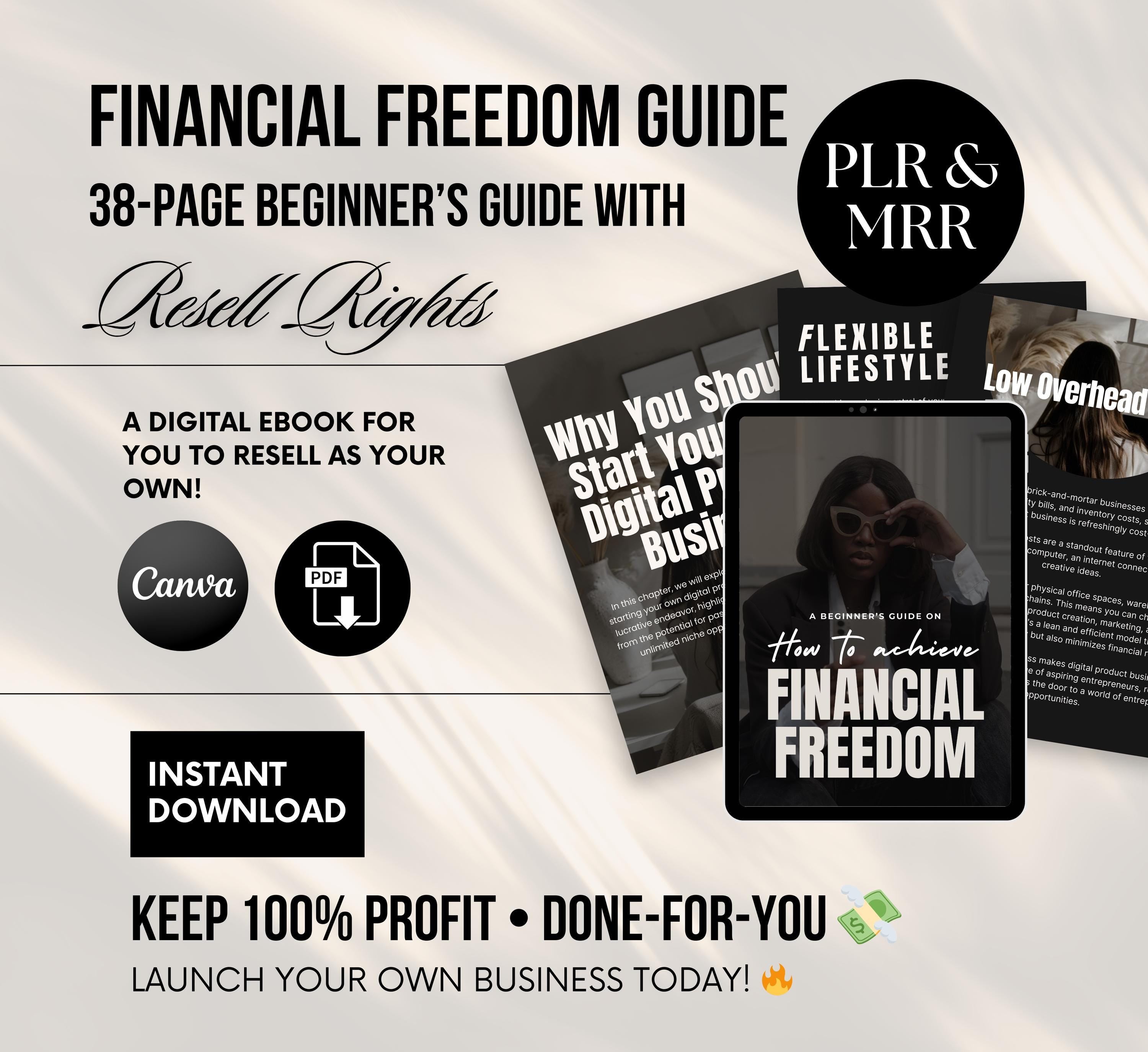 PLR/MRR Financial Freedom Ebook