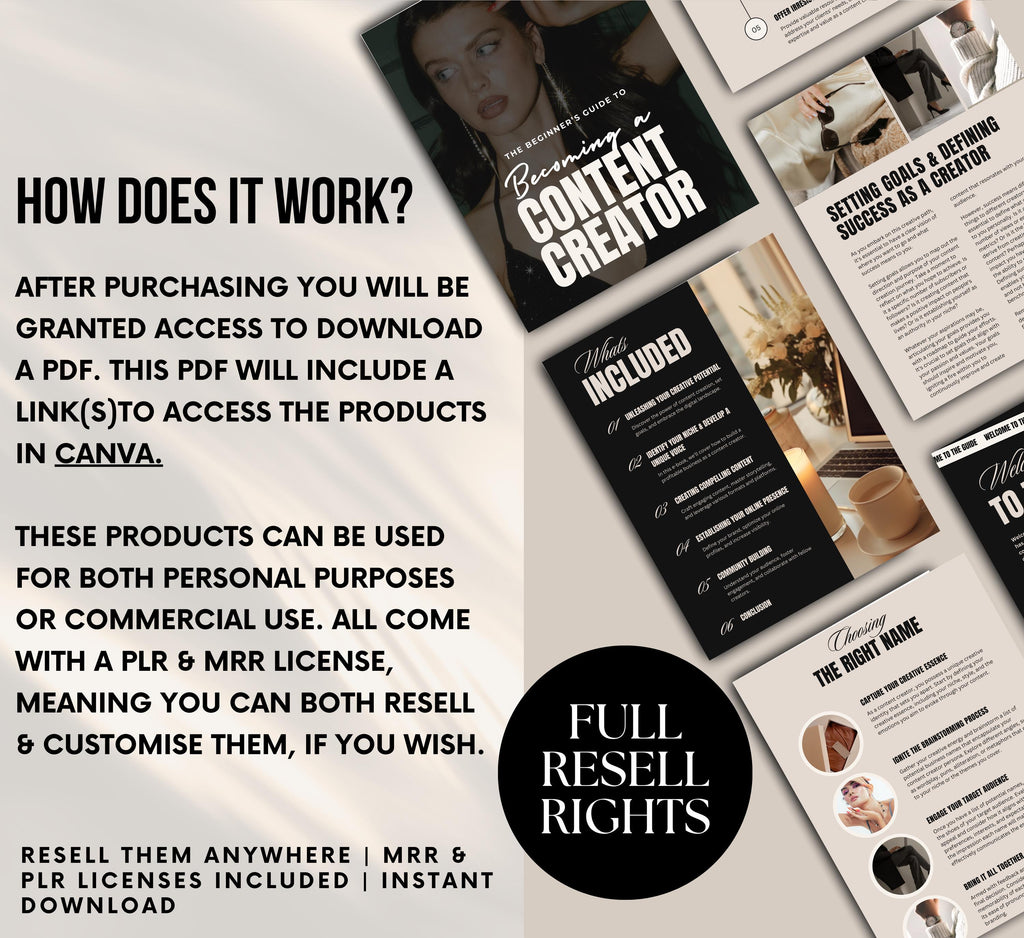 PLR/MRR Content Creator Ebook Guide