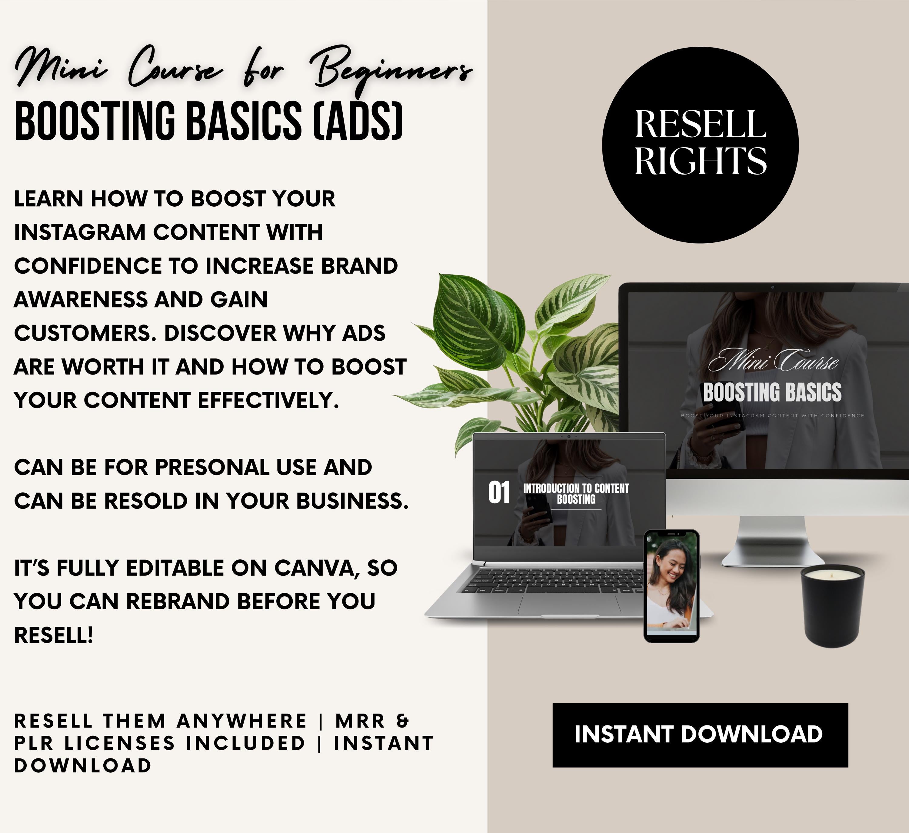 PLR/MRR Instagram Boosting Basics Course
