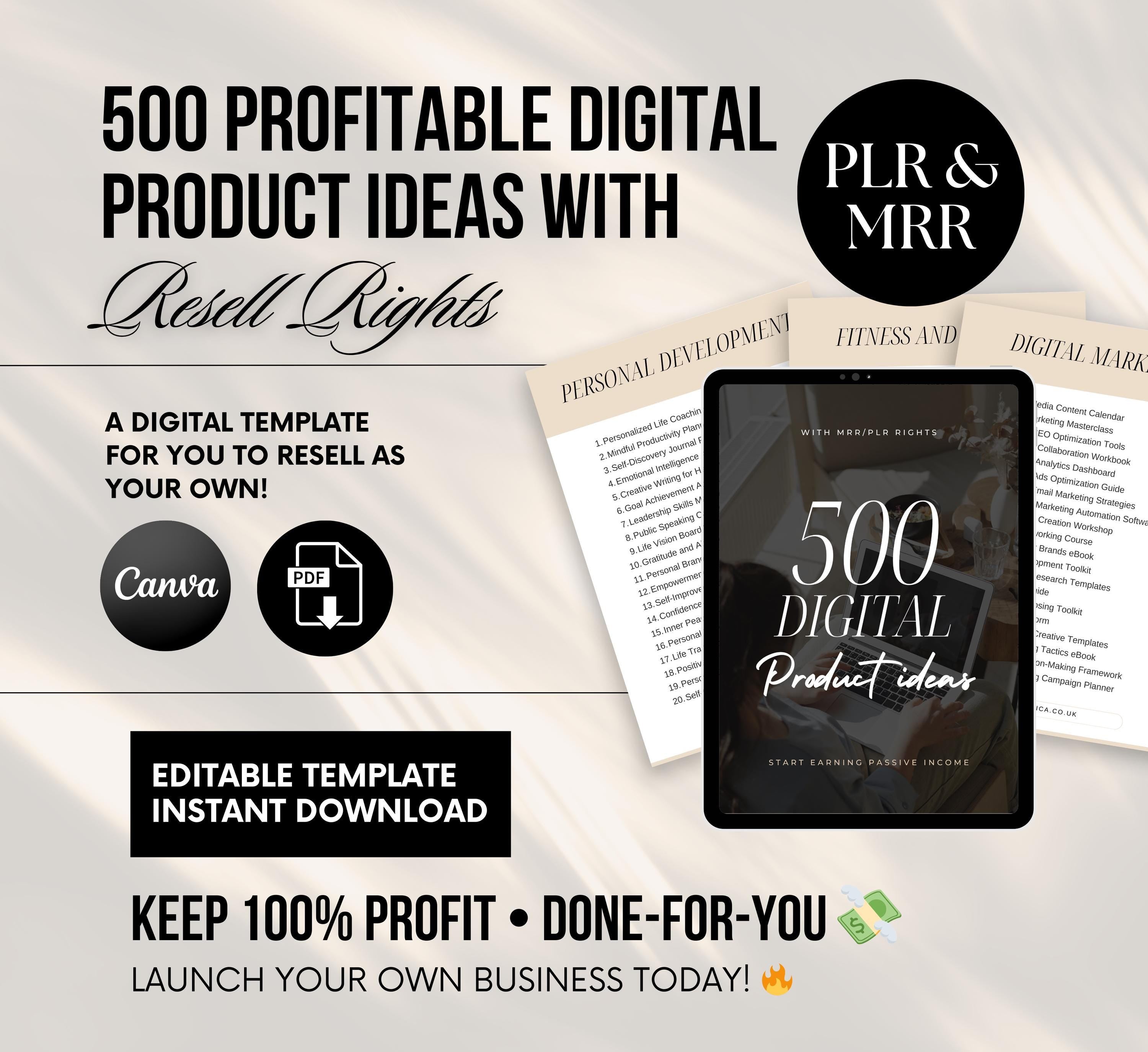 PLR/MRR 500 Digital Product Ideas