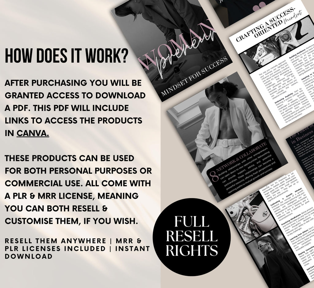 PLR/MRR Womanpreneur Success Ebook Guide