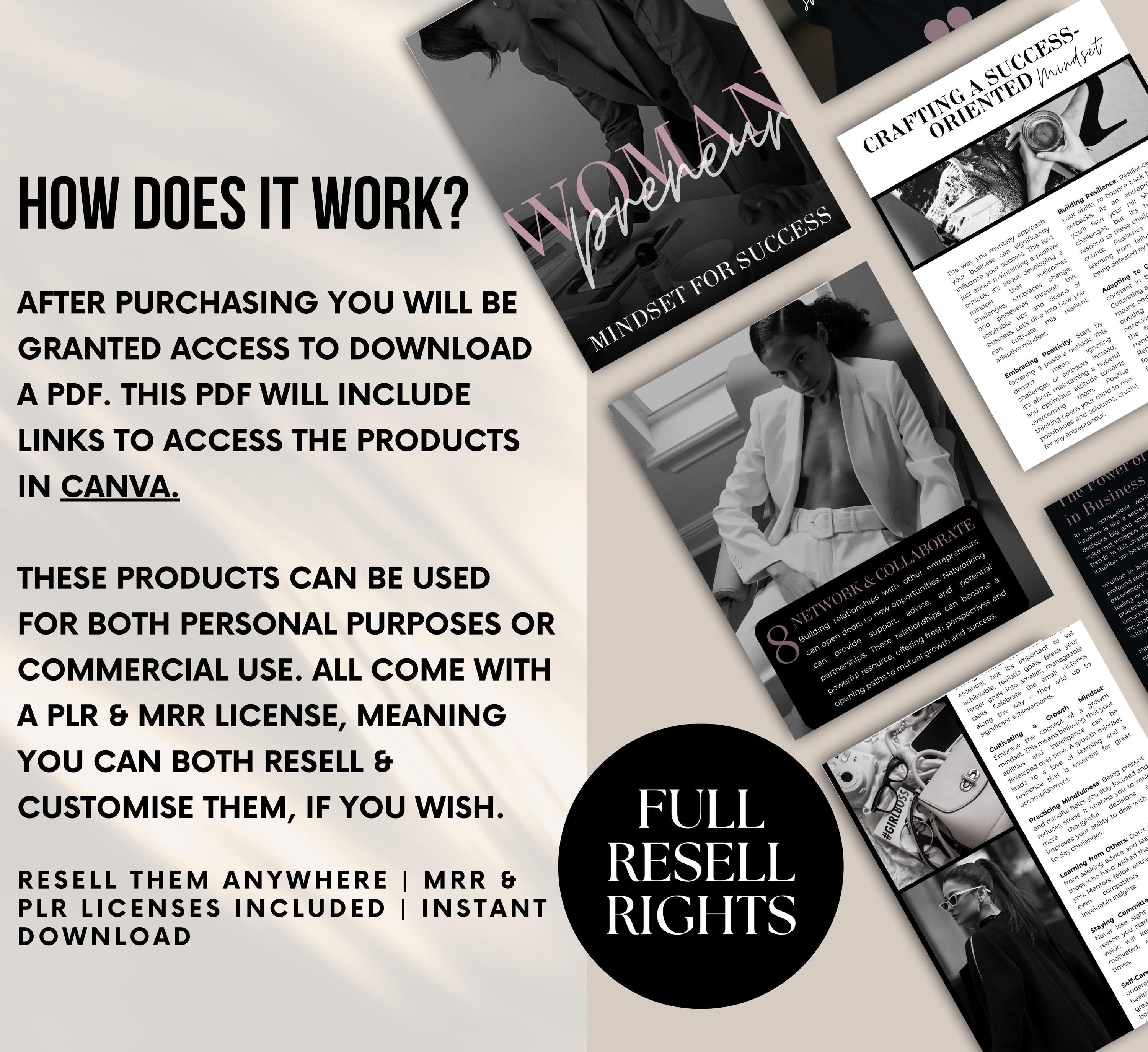 PLR/MRR Womanpreneur Success Ebook Guide