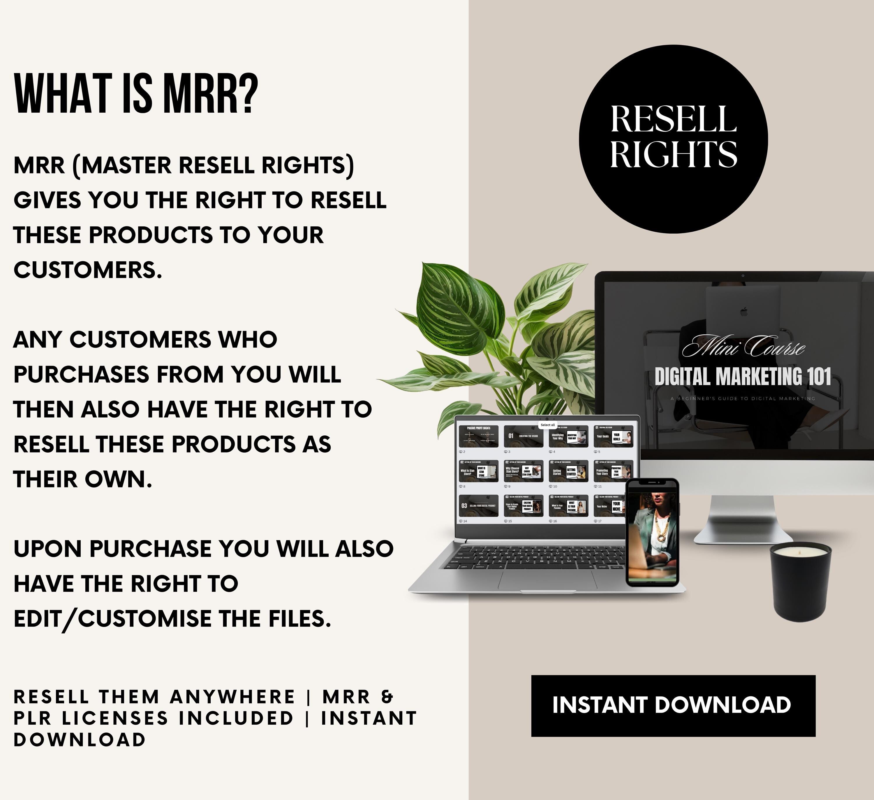 PLR/MRR Digital Marketing 101 Mini Course