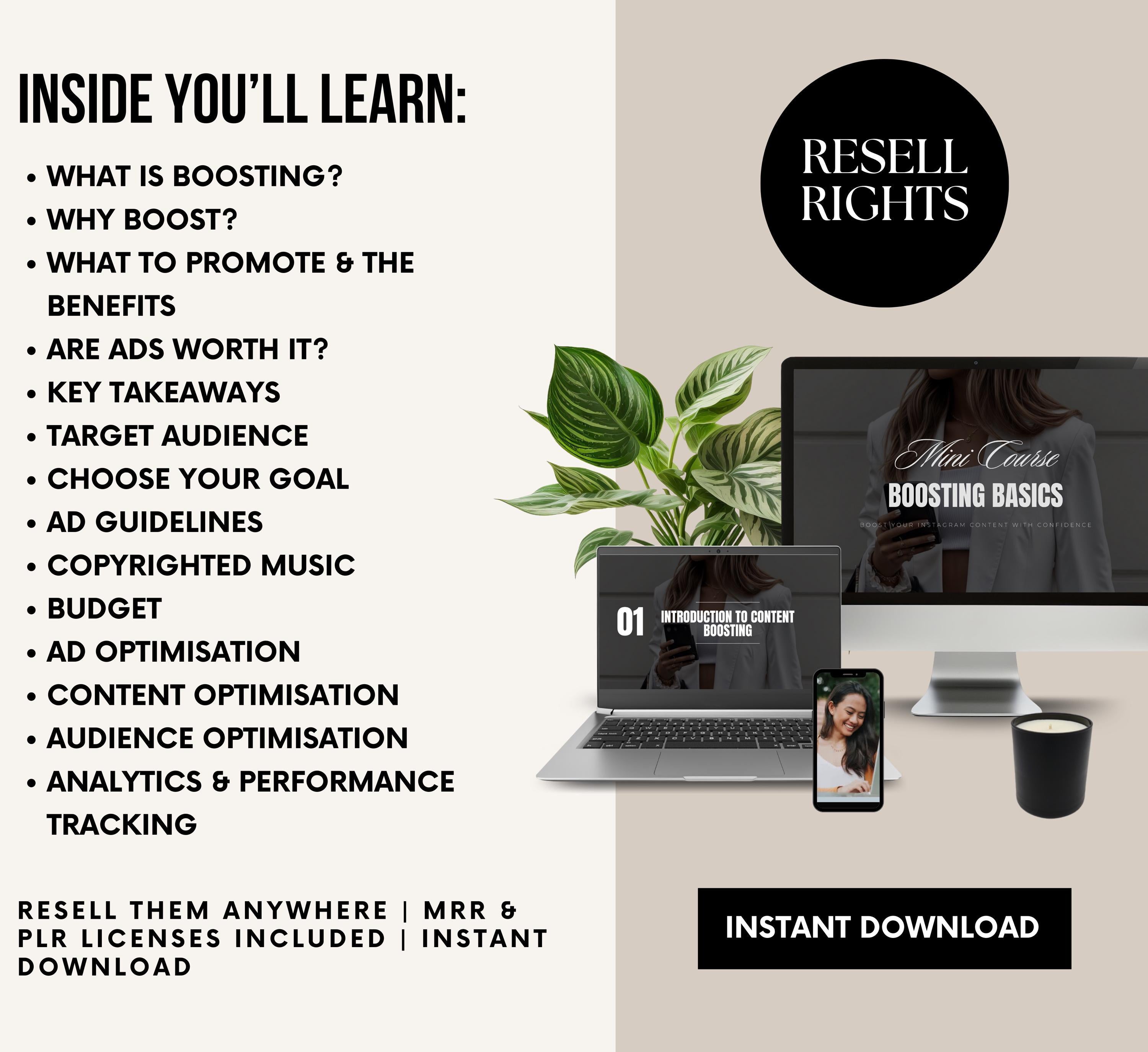 PLR/MRR Instagram Boosting Basics Course