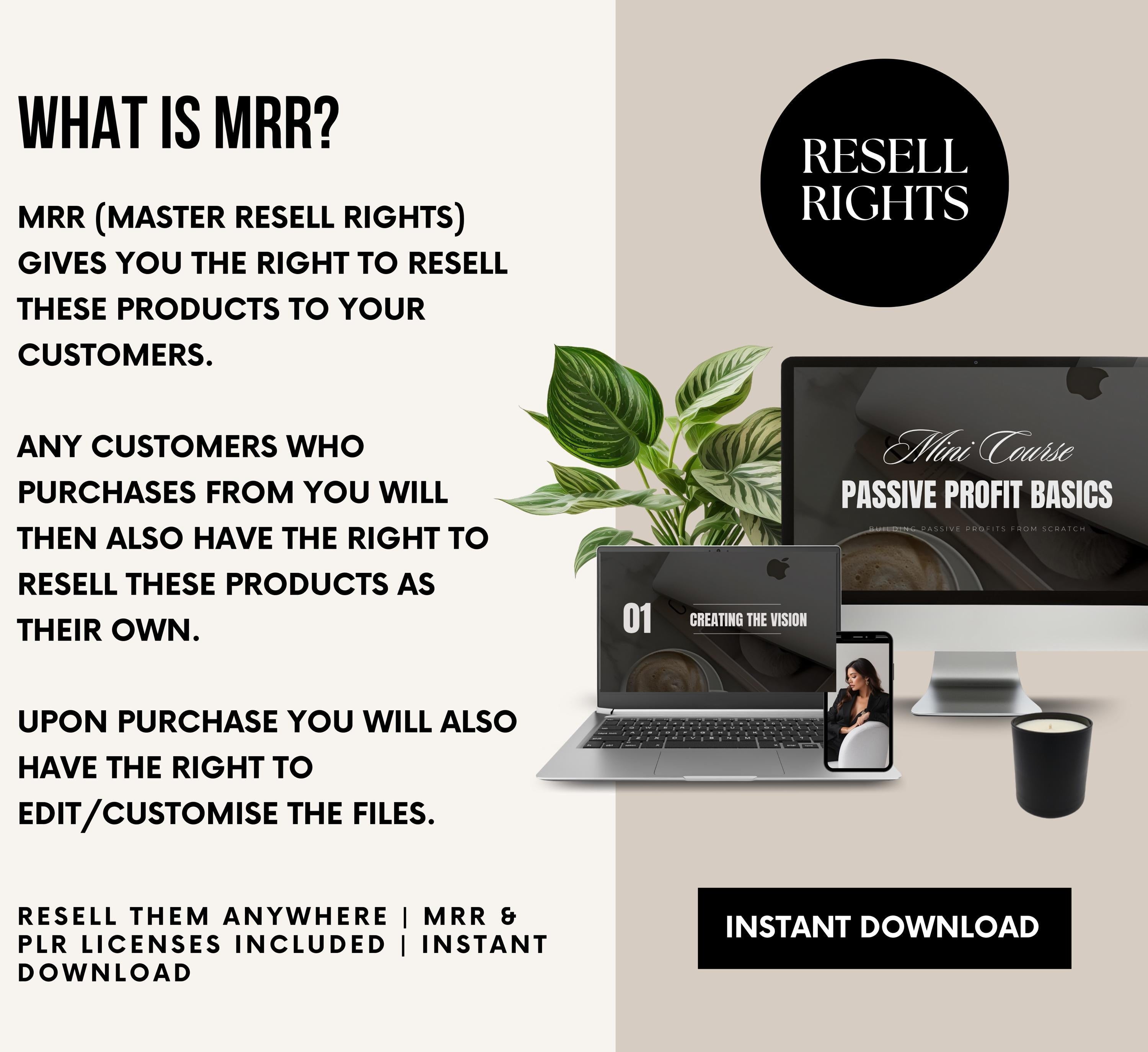 PLR/MRR Passive Income Basics Mini Course